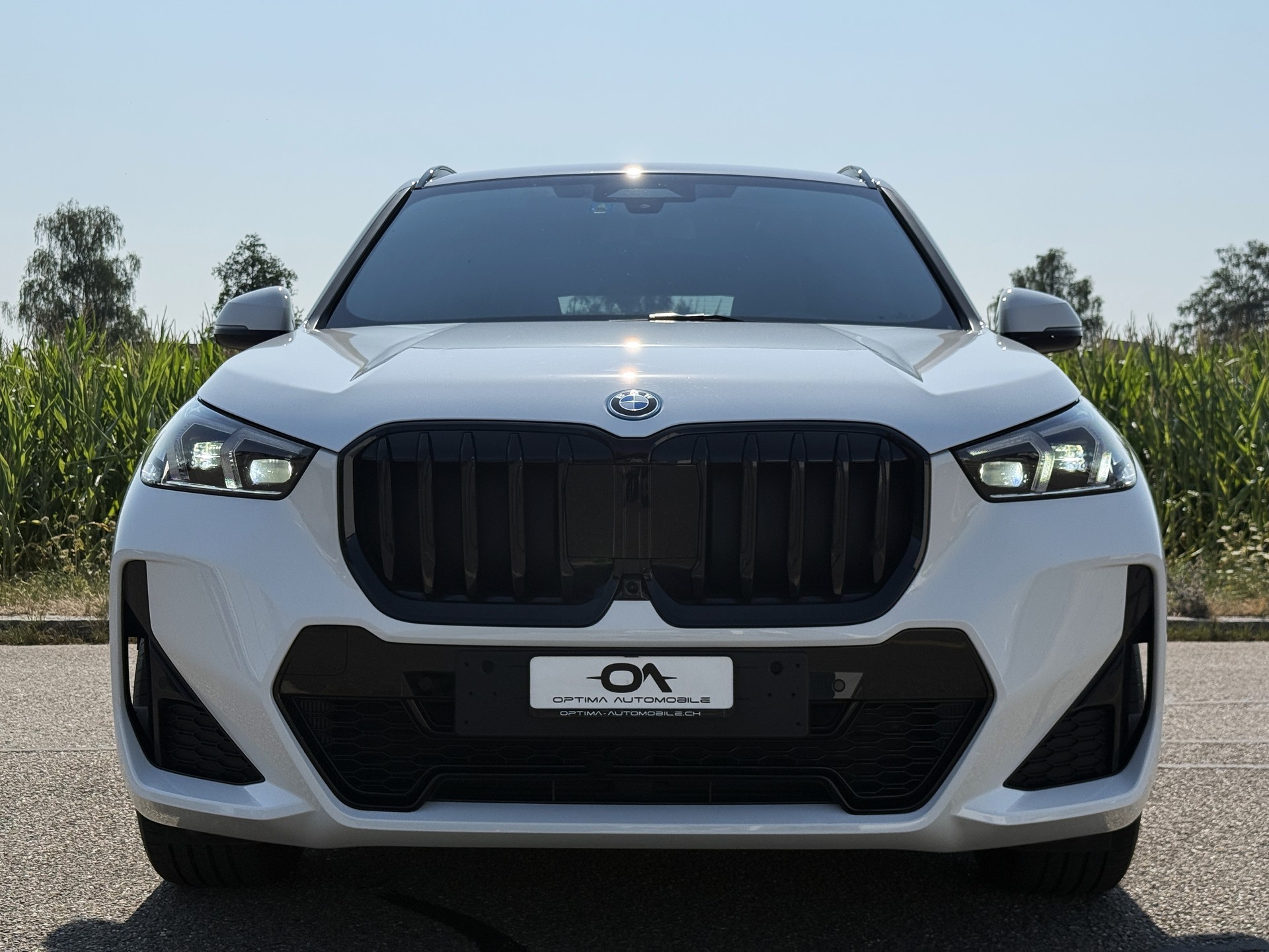 BMW X1 xDrive 25e M-SPORT - *1. HAND CH-FZ.* - *TOP-AUSSTATTUNG* - *GRATIS-SERVICE & WERKSGARANTIE* - *8-FACH ALU*-image-9