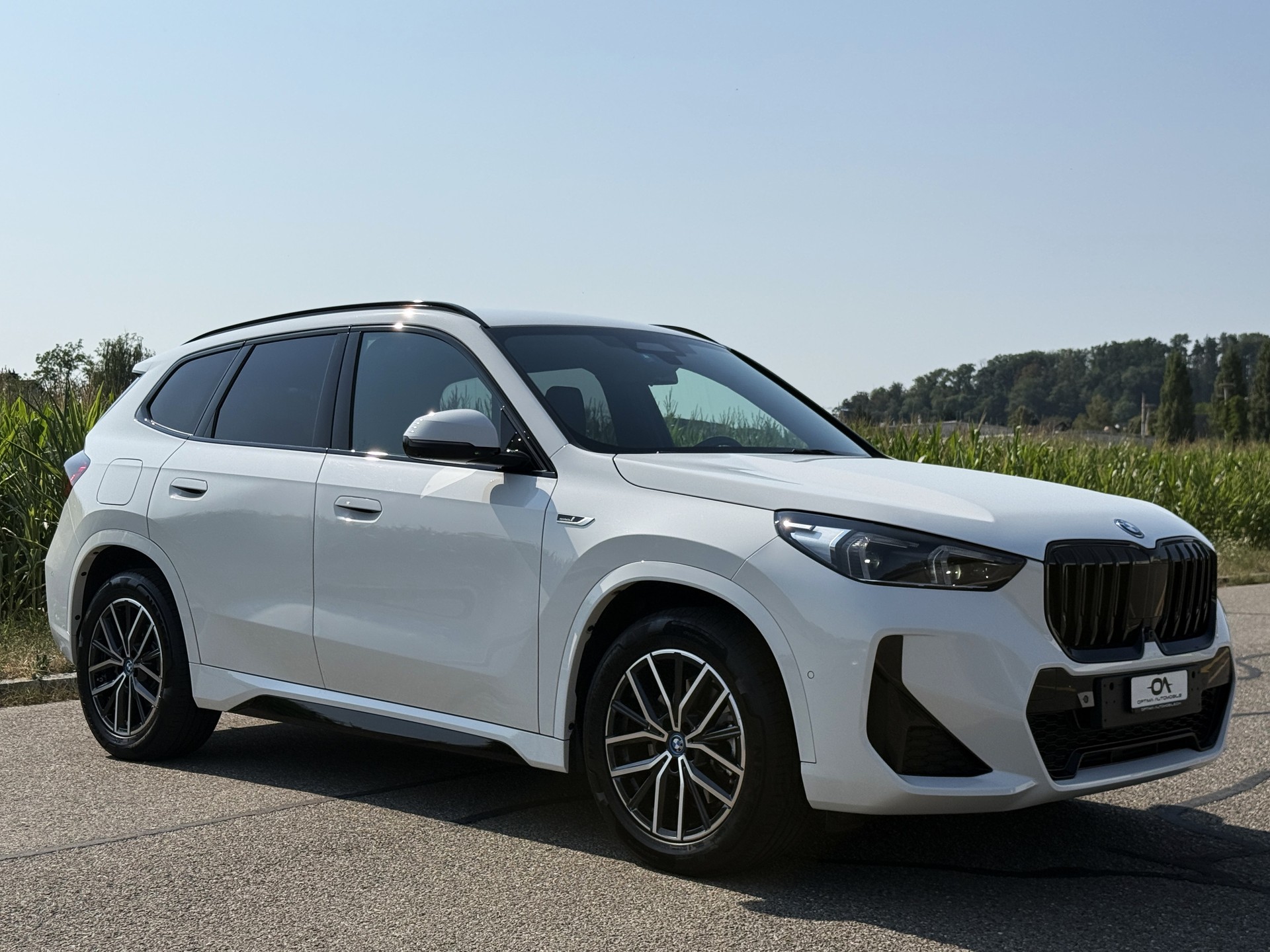 BMW X1 xDrive 25e M-SPORT - *1. HAND CH-FZ.* - *TOP-AUSSTATTUNG* - *GRATIS-SERVICE & WERKSGARANTIE* - *8-FACH ALU*-image-7