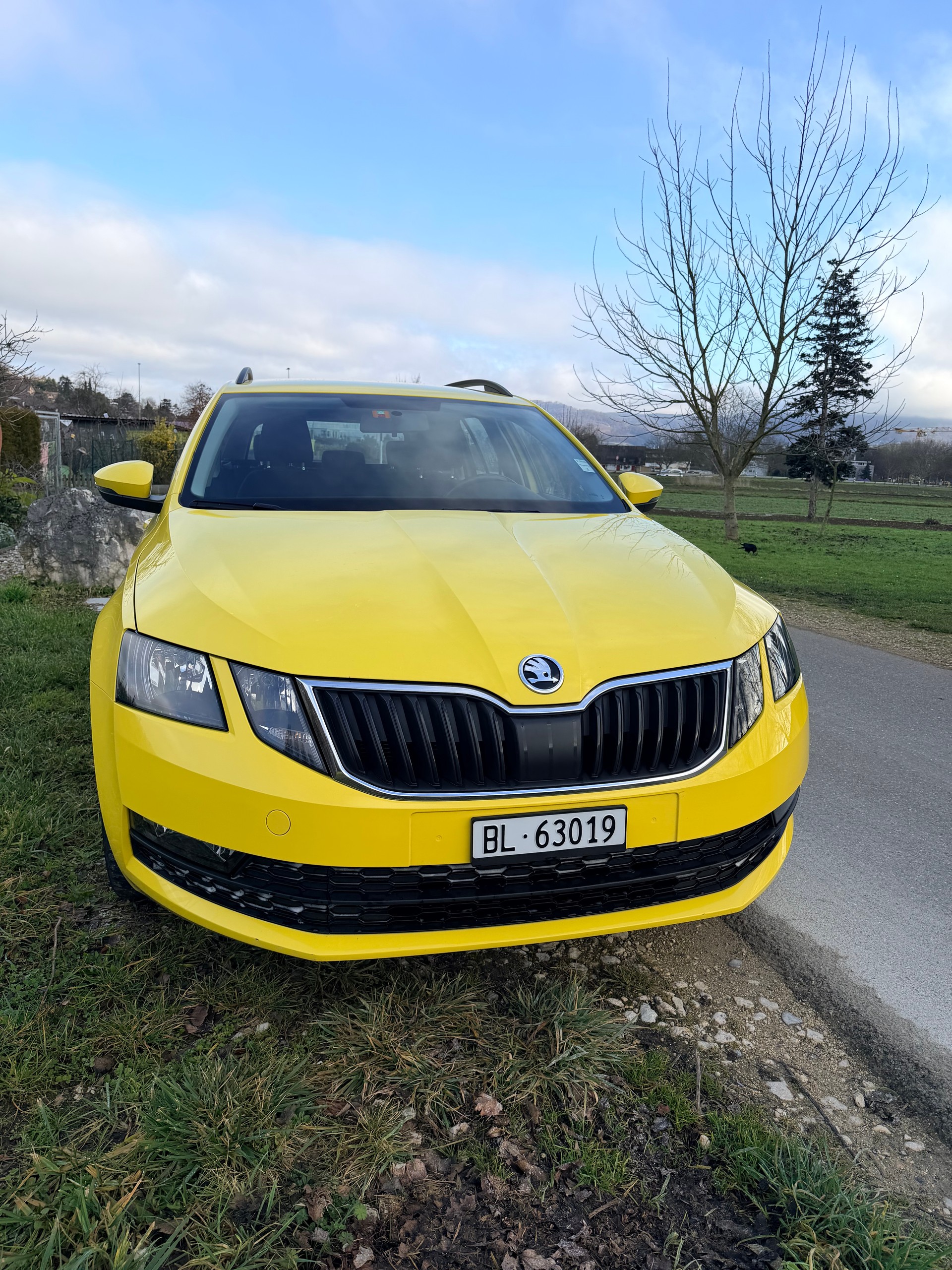 SKODA 1.6 TDI 115 Clever-image-1