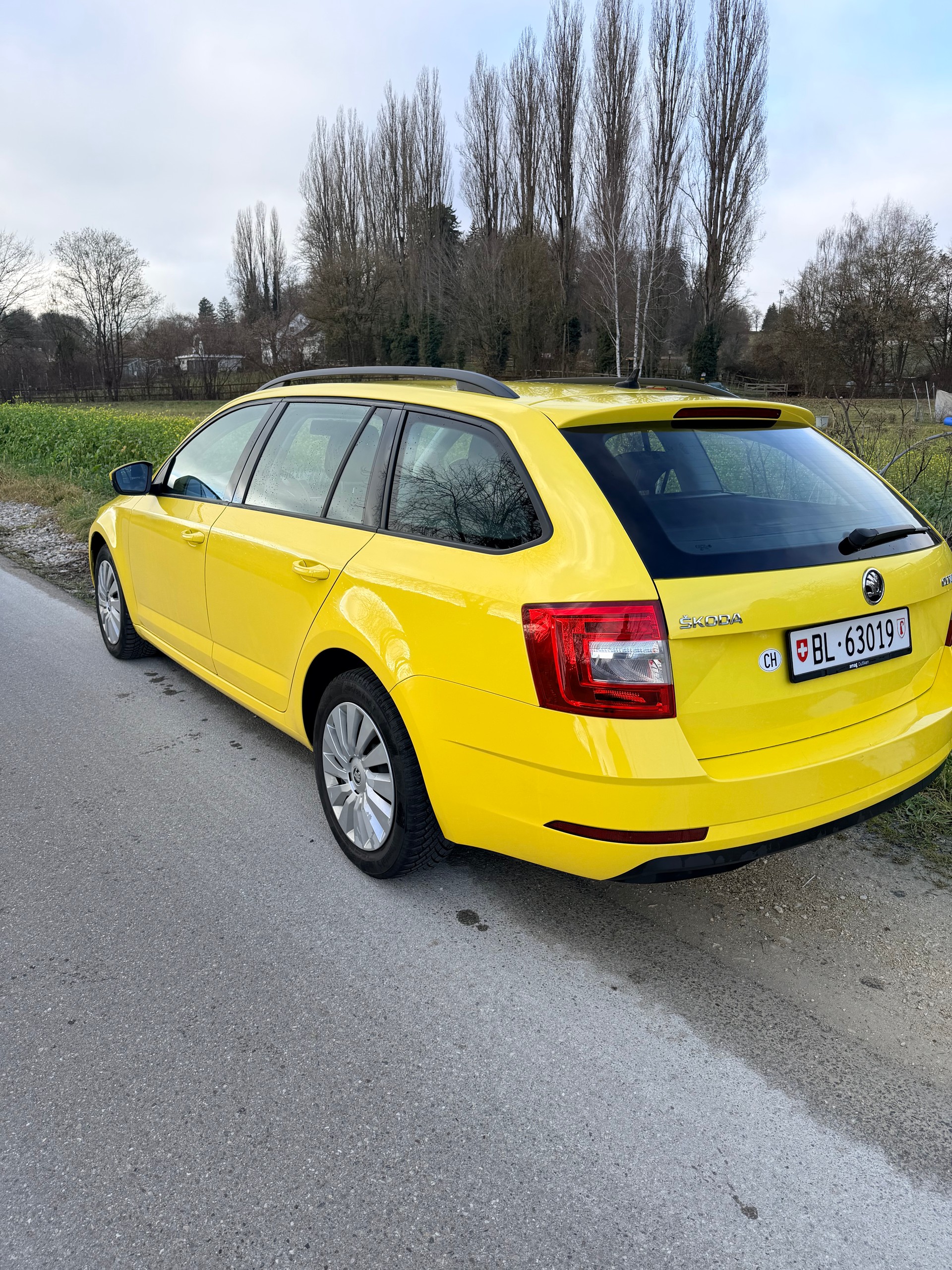 SKODA 1.6 TDI 115 Clever-image-0