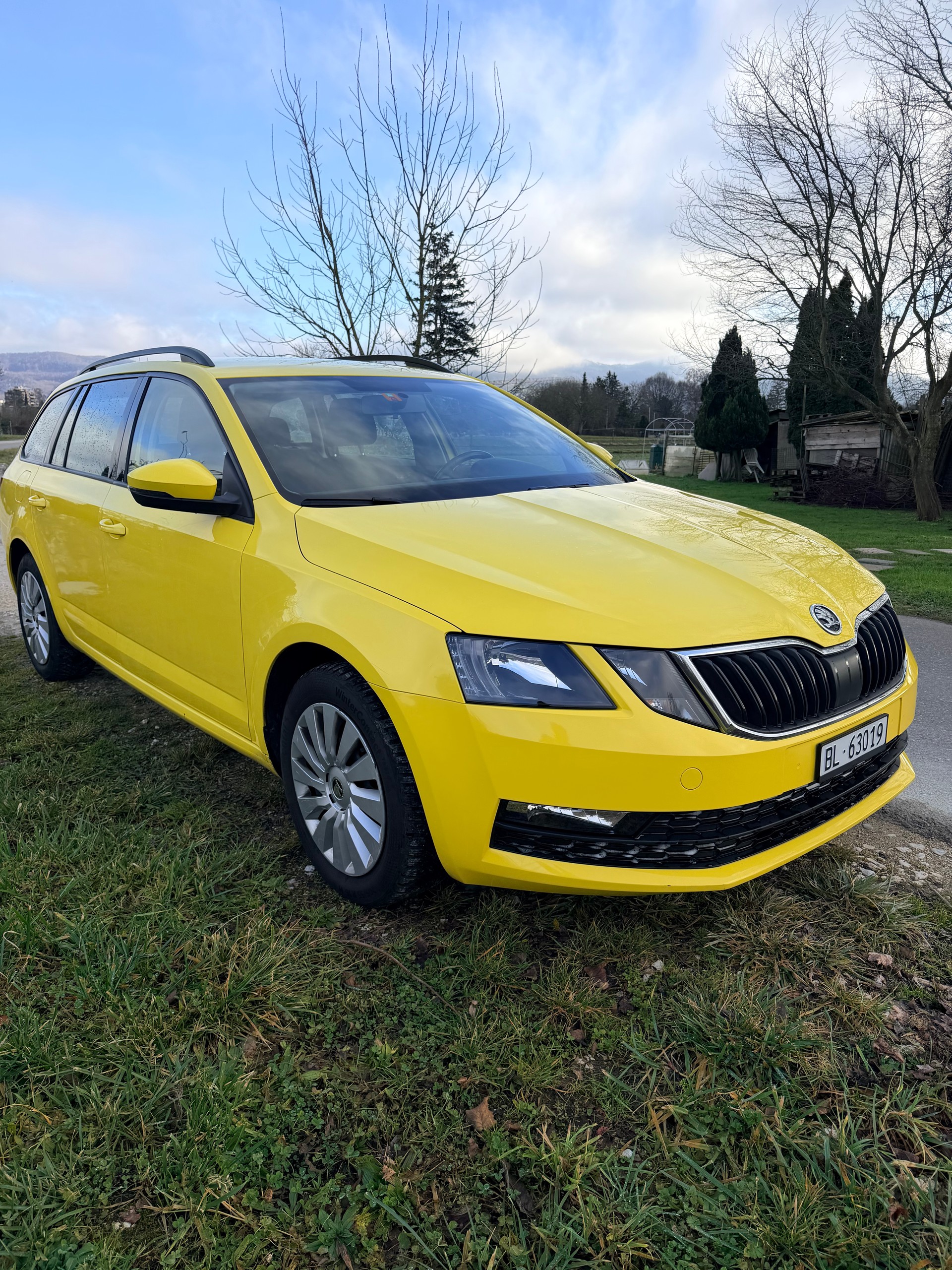 SKODA 1.6 TDI 115 Clever-image-5