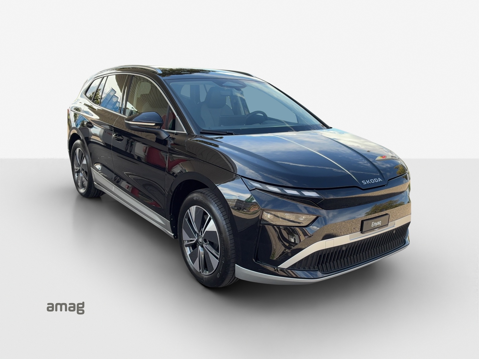 SKODA Enyaq 85x Dynamic 4x4-image-5