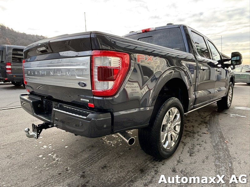 FORD F-Pickup F150 Lobo Platinum Dkab-image-5
