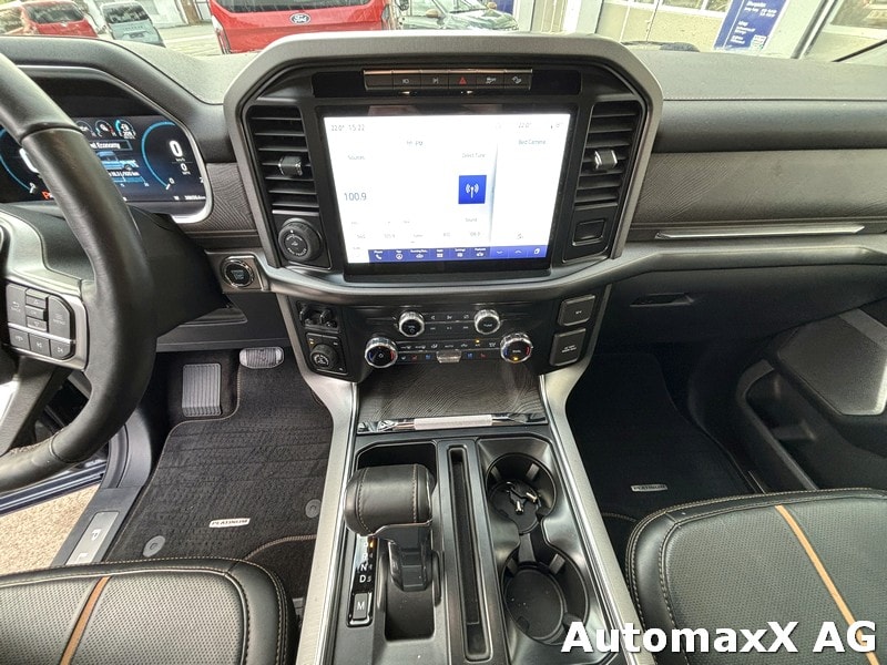 FORD F-Pickup F150 Lobo Platinum Dkab-image-10
