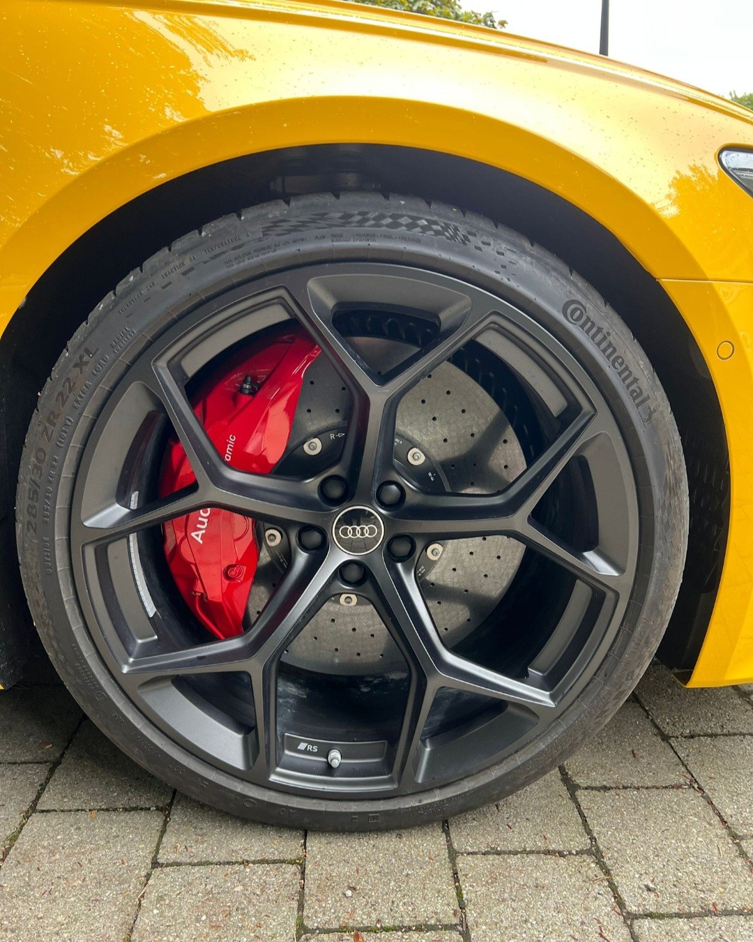 AUDI RS6 Avant 4.0 TFSI V8 Performance quattro-image-10