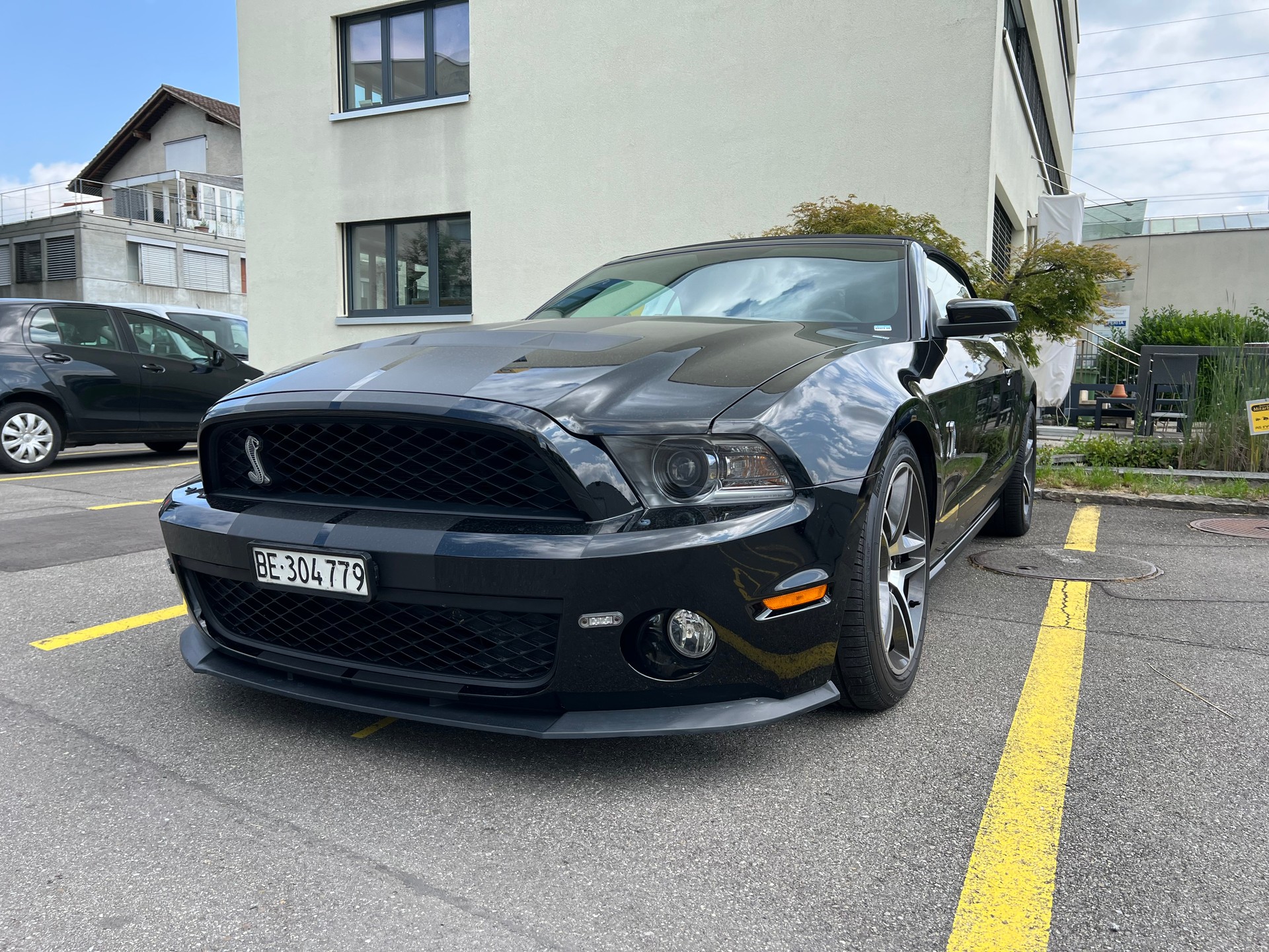 FORD Mustang Shelby GT 500 SVT-image-4