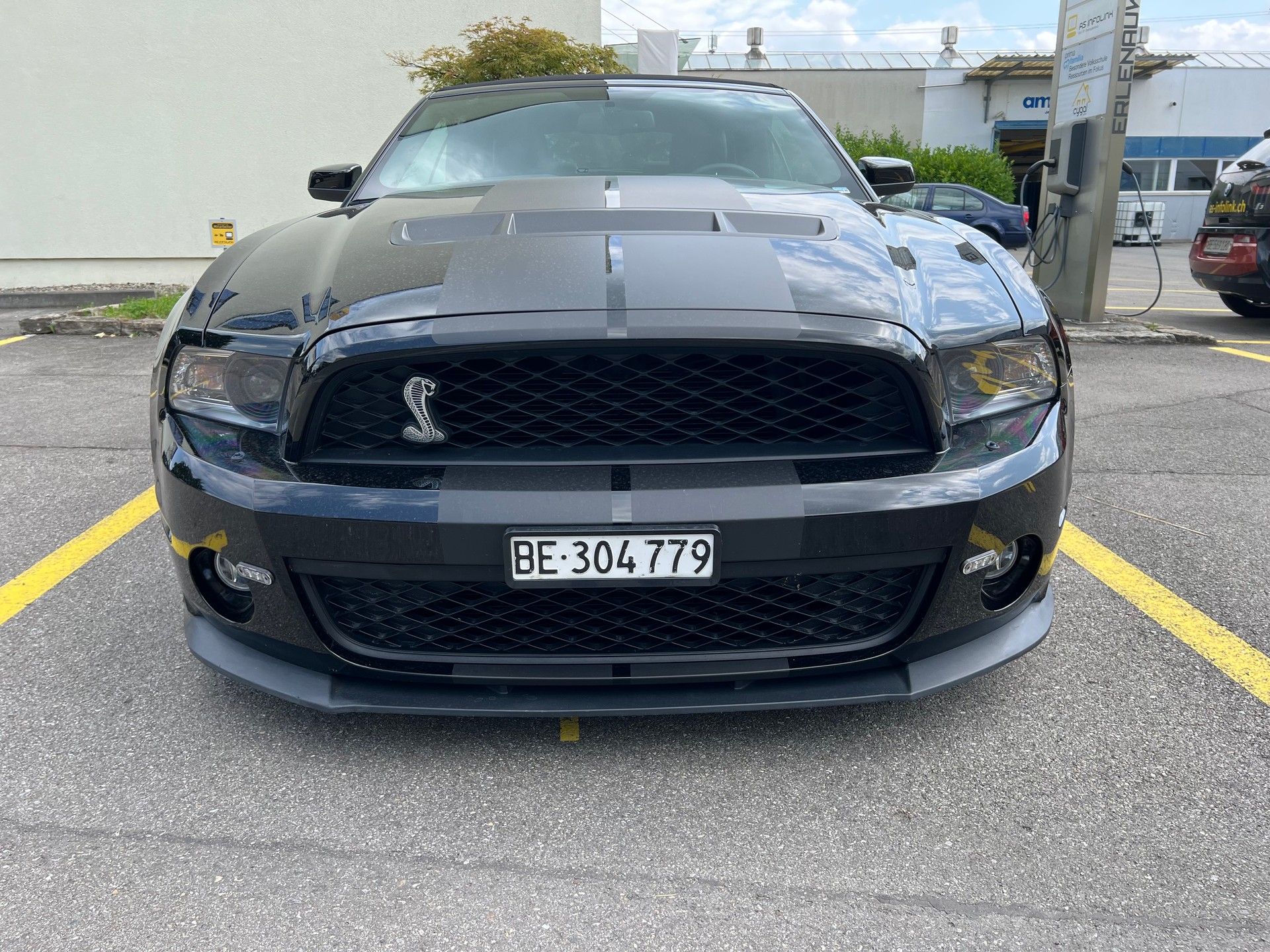 FORD Mustang Shelby GT 500 SVT-image-3