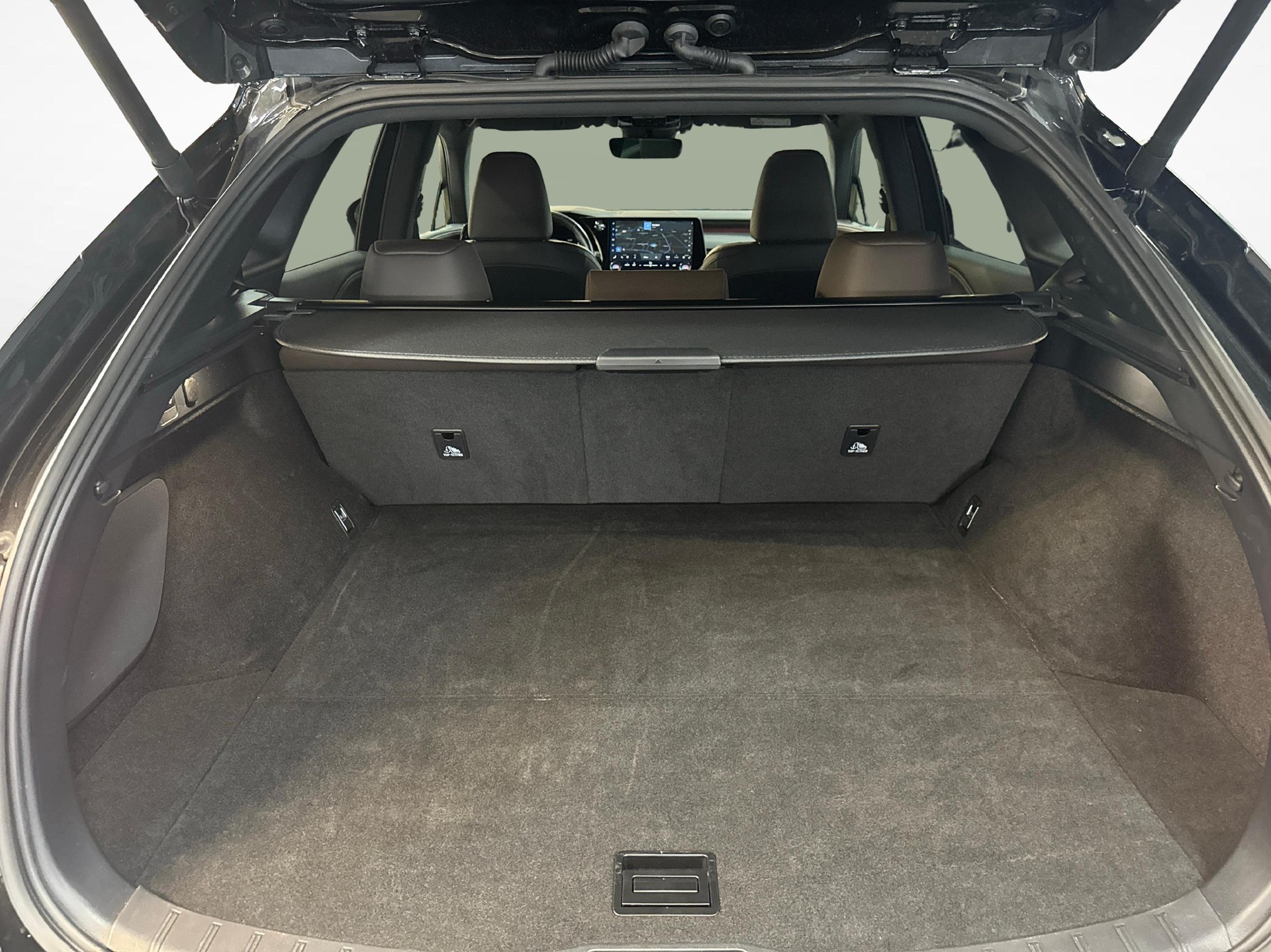 LEXUS RX 350h F-Line-image-12