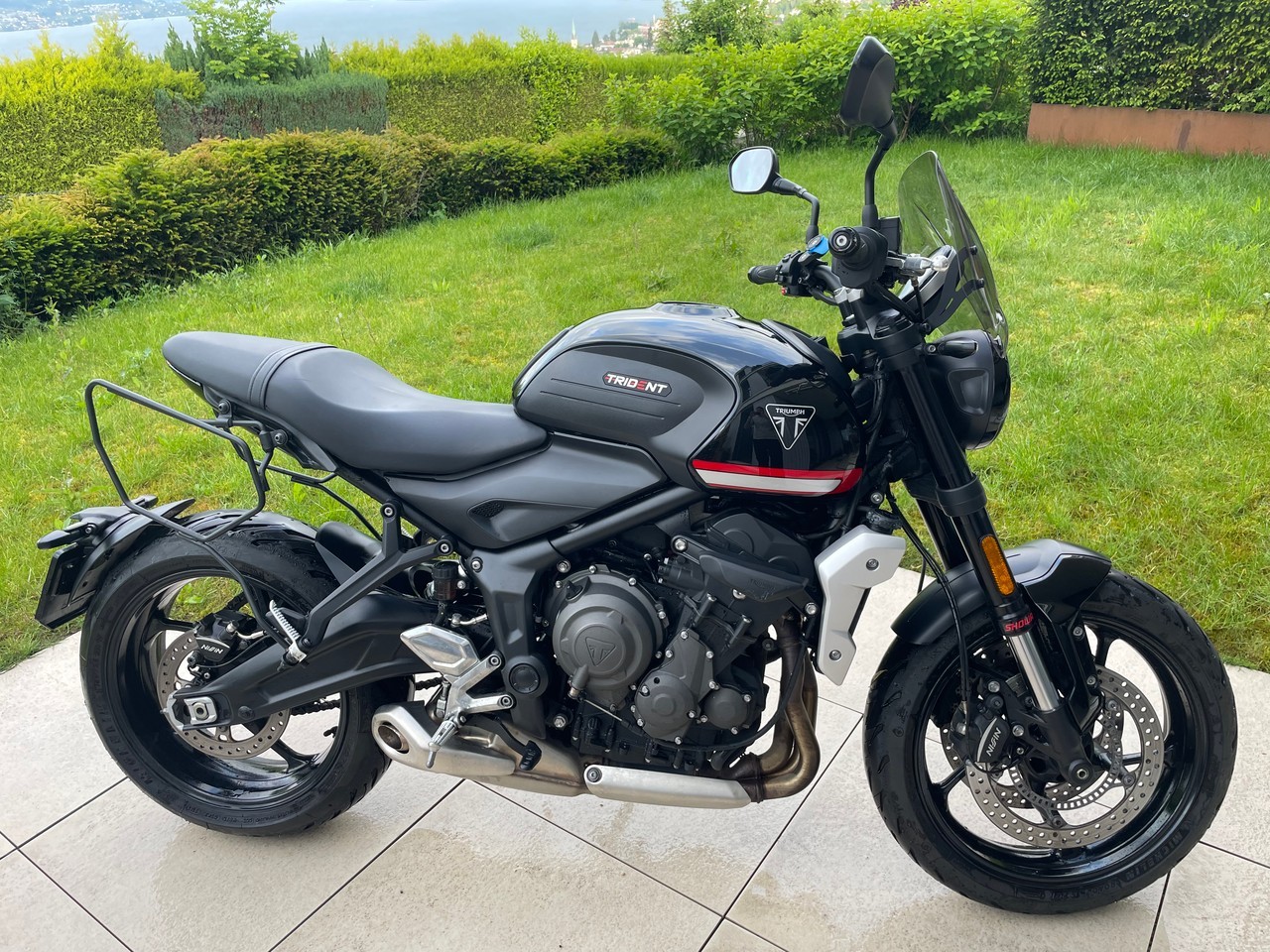 TRIUMPH Trident 660-showroom-element-2