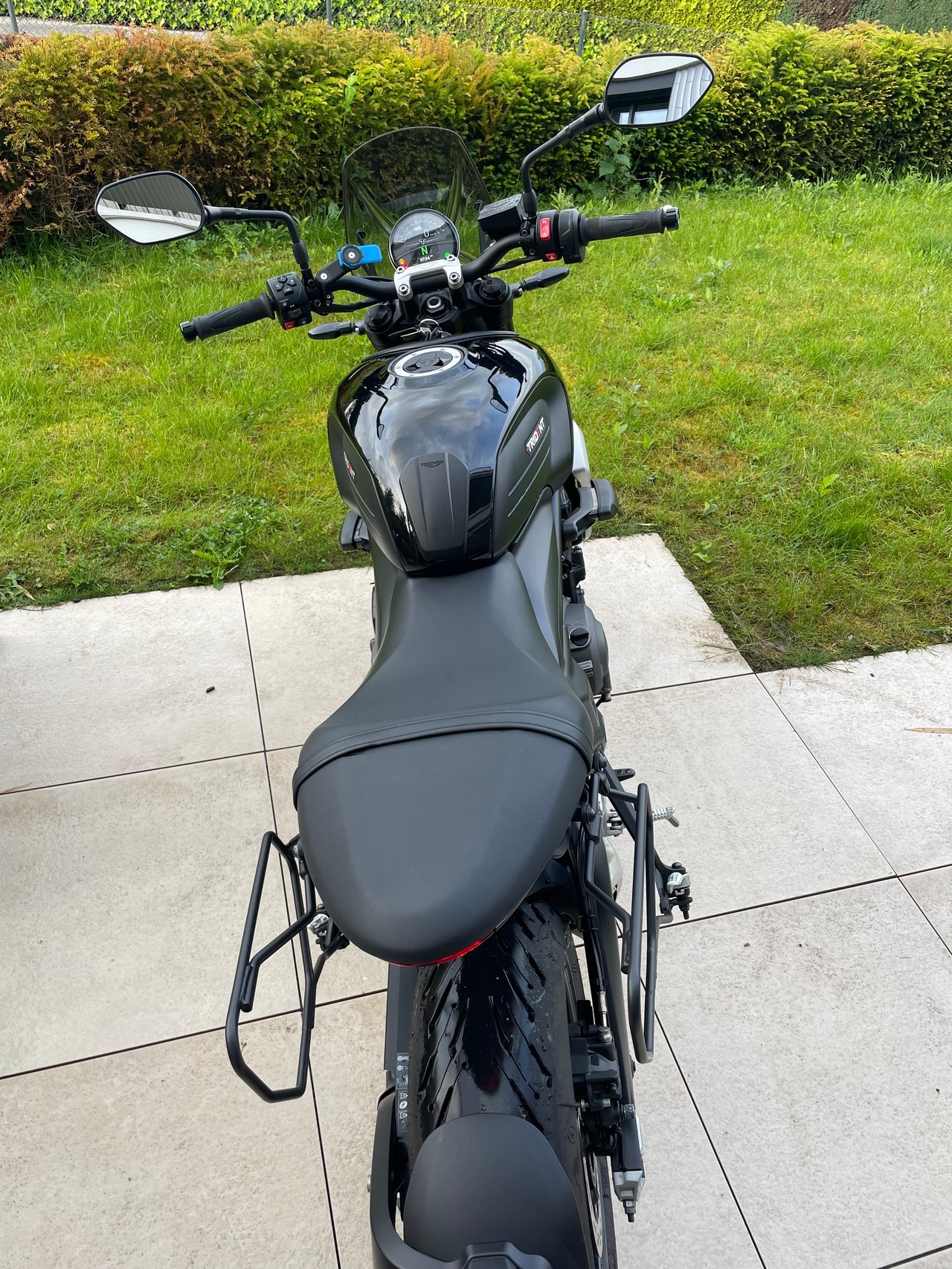 TRIUMPH Trident 660-showroom-element-3