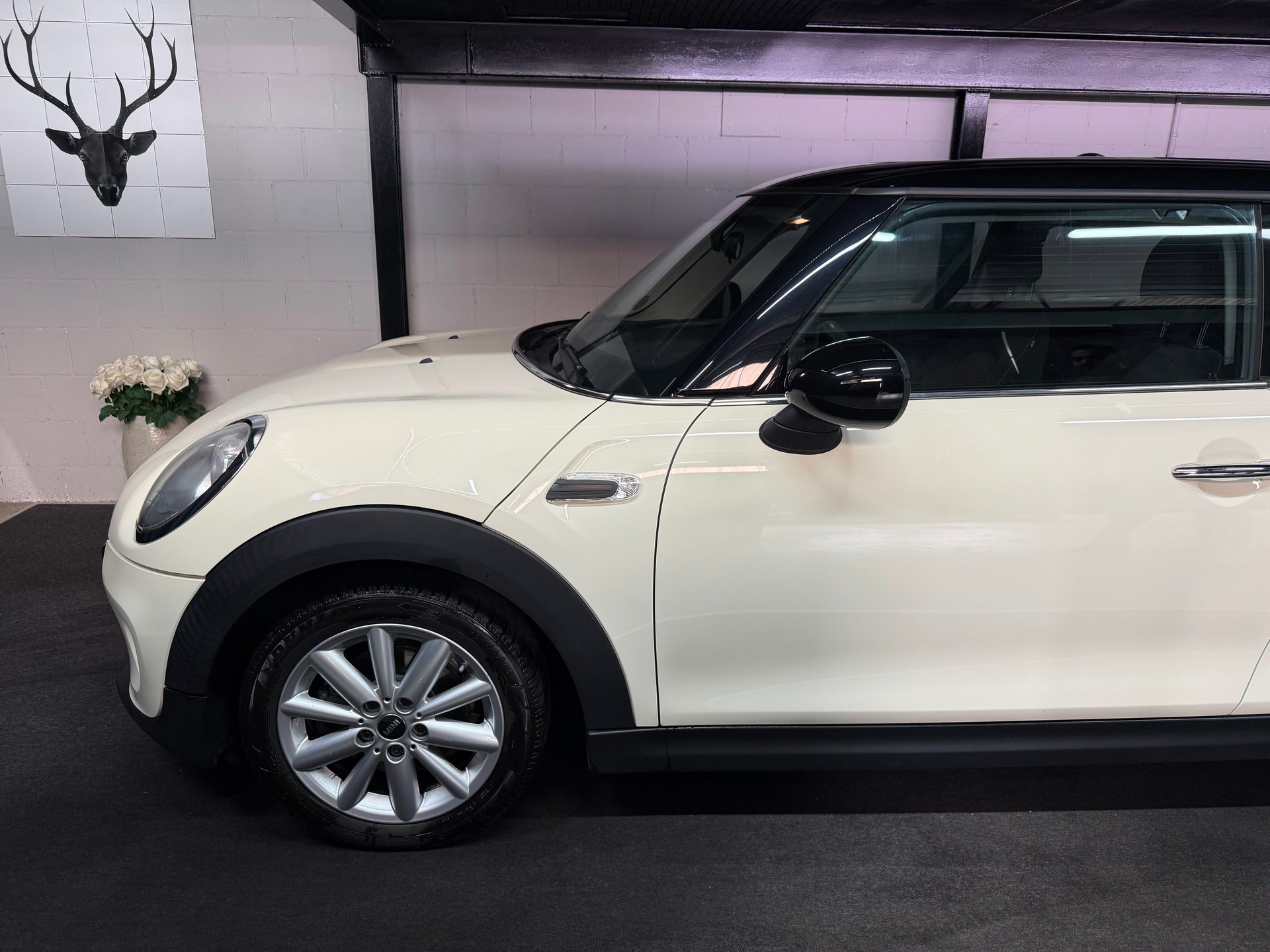 MINI Cooper-image-9