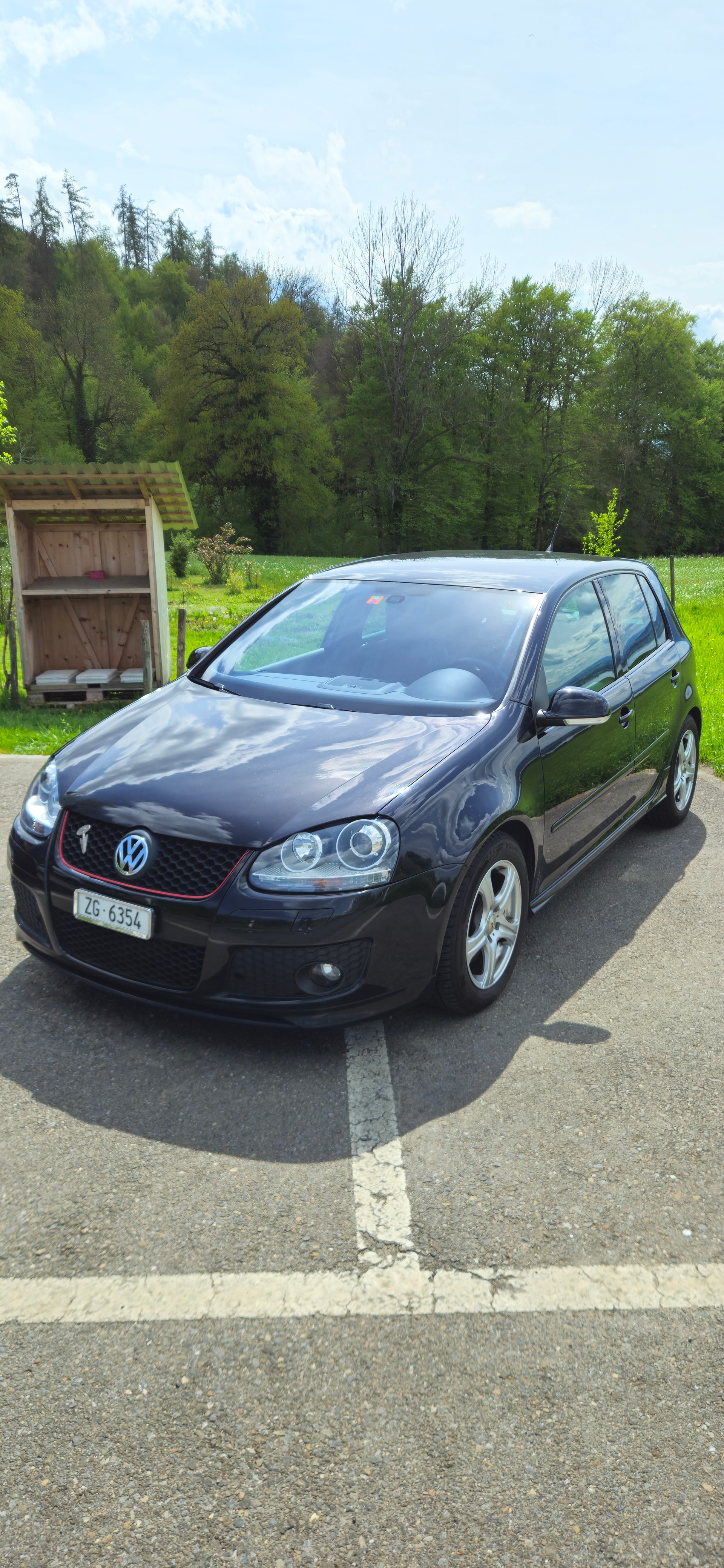 VW 2.0 TFSI GTI Pirelli-image-2