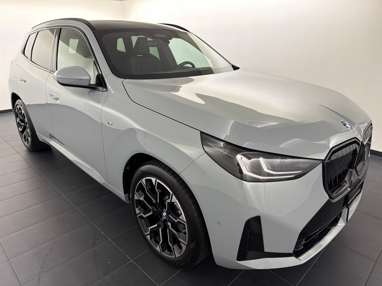 BMW X3 xDr 48V 20d M Sp. Pro-image-3