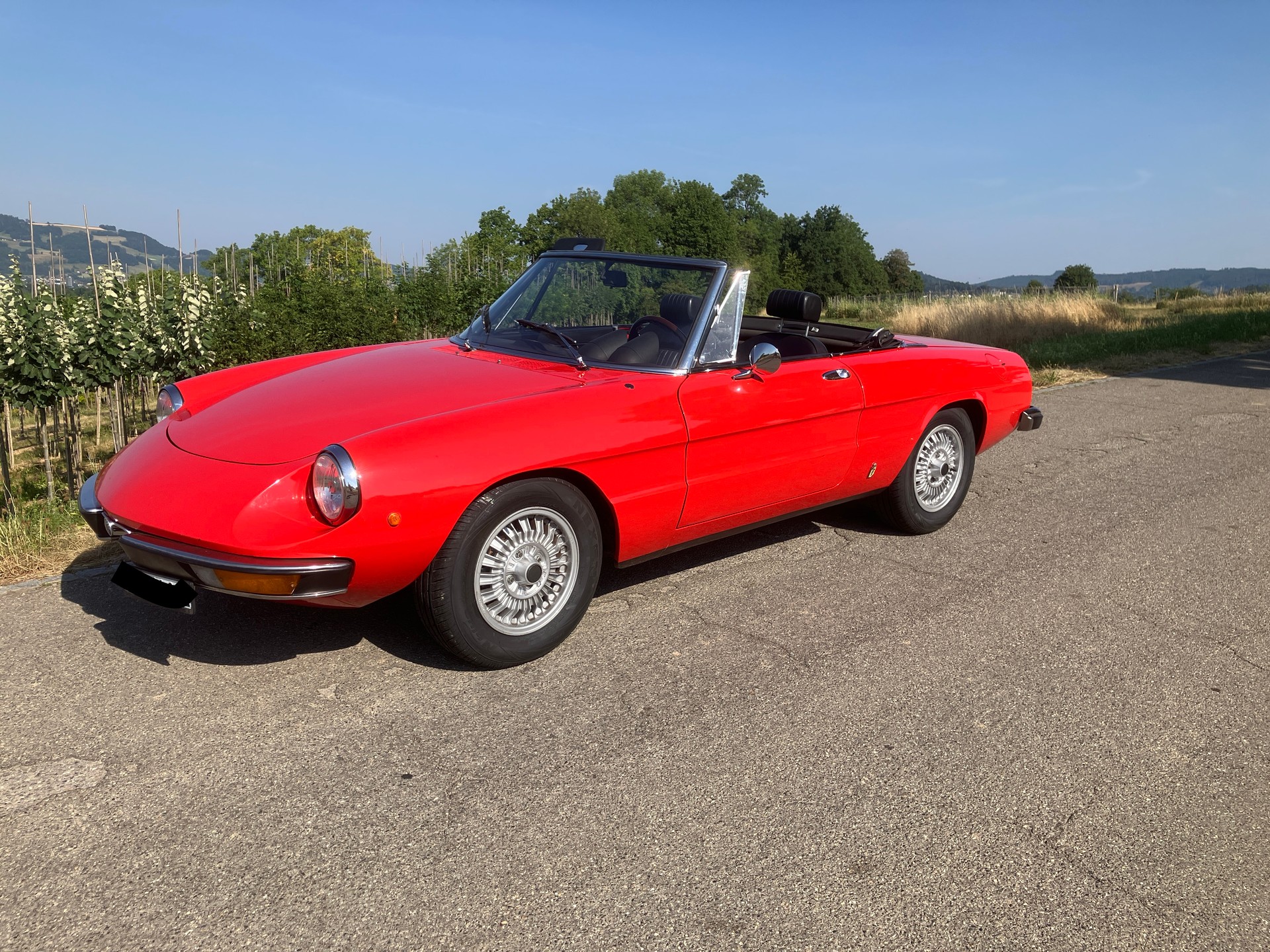 ALFA ROMEO Veteranenfahrzeug-image-0