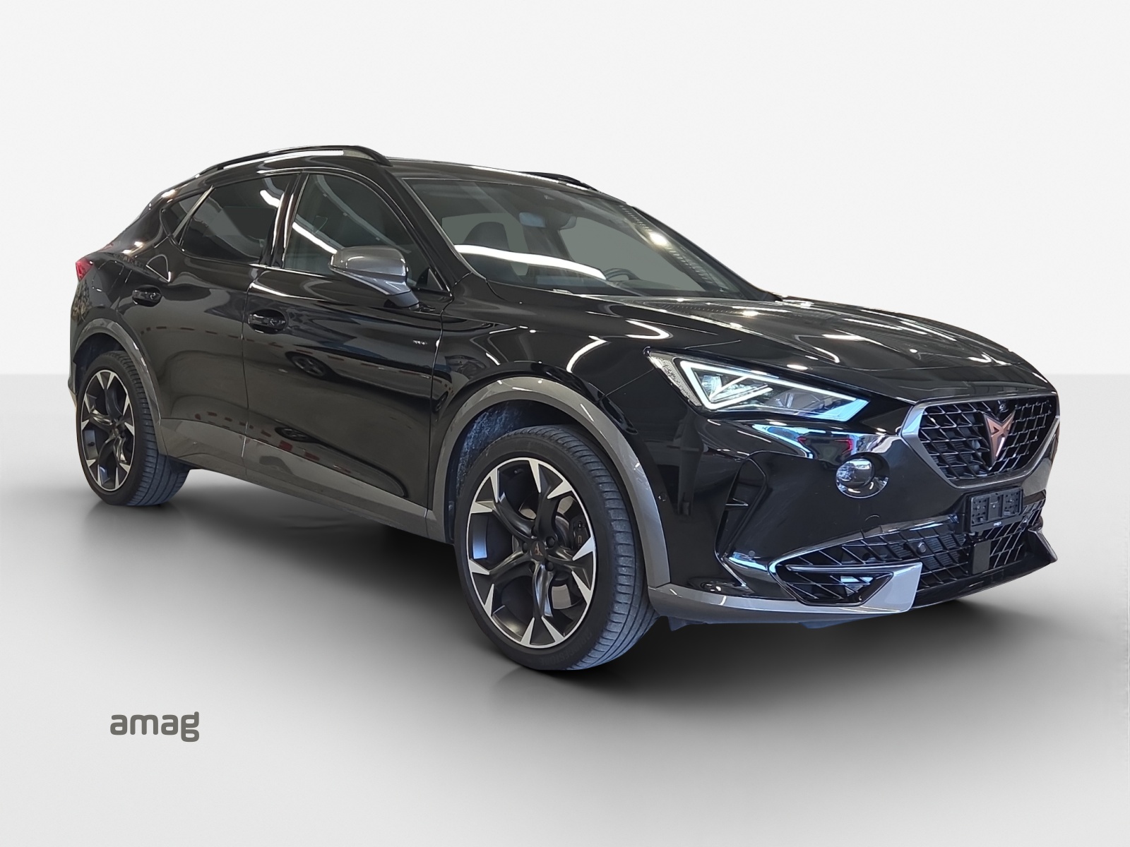 CUPRA Formentor 2.0TSI Tribe Edition 4Drive DSG-image-5