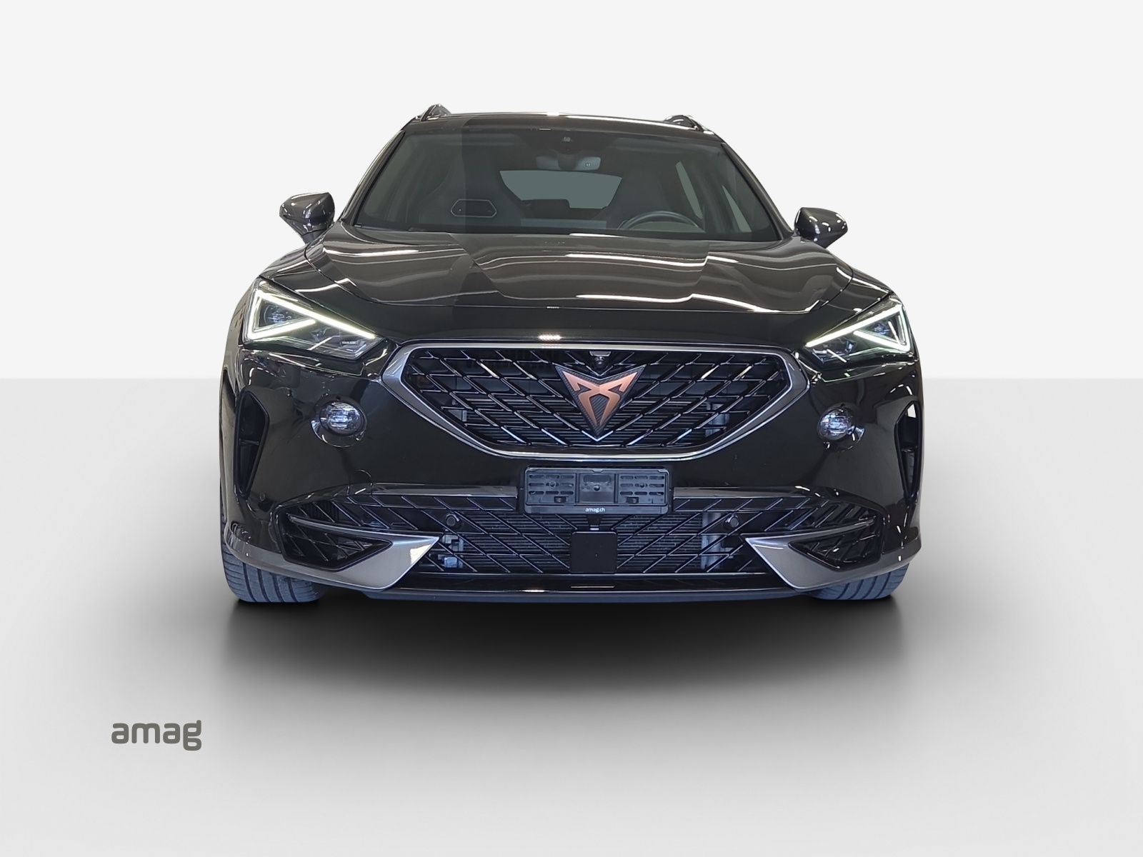 CUPRA Formentor 2.0TSI Tribe Edition 4Drive DSG-image-6