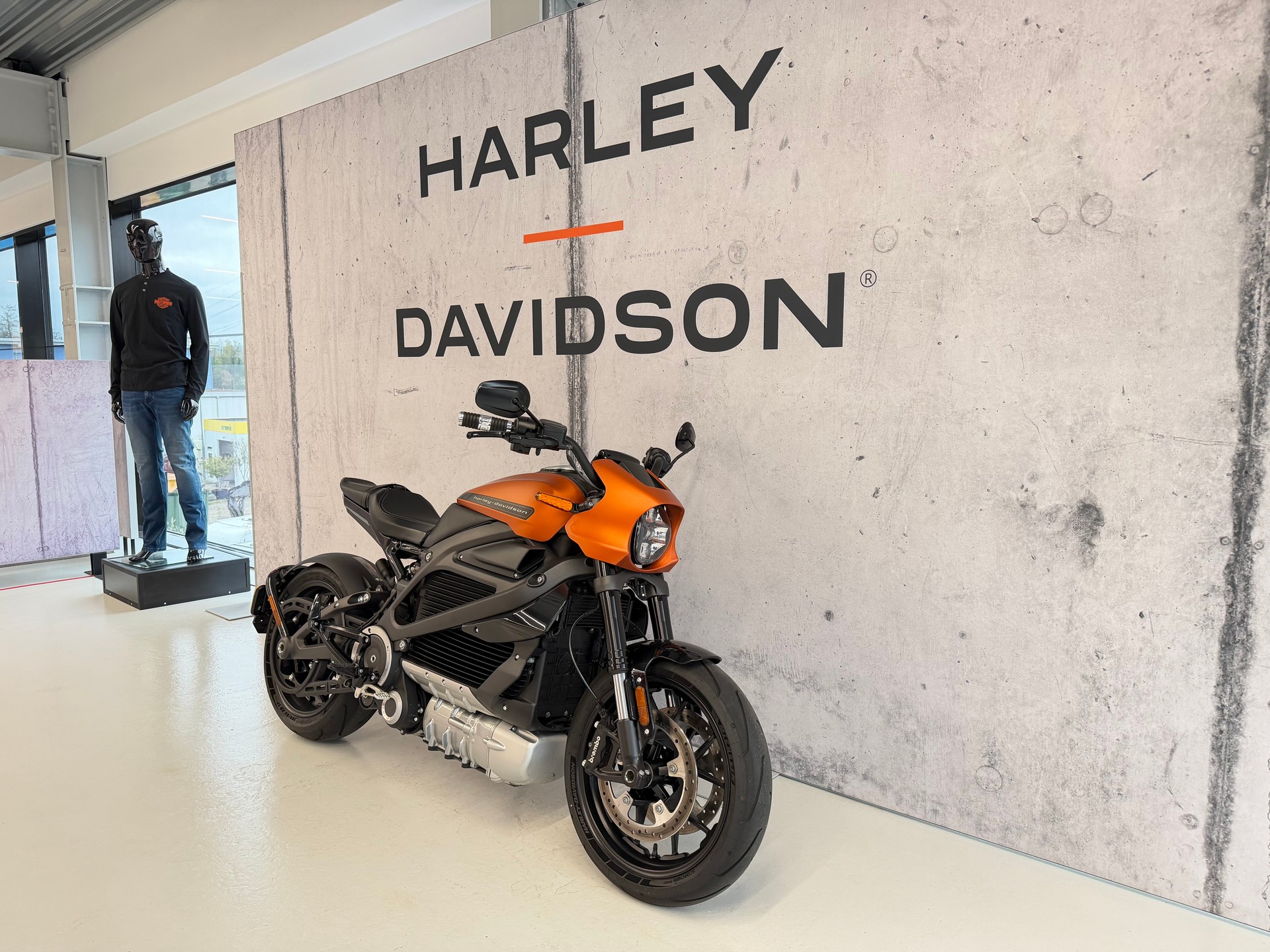 HARLEY-DAVIDSON Live Wire-showroom-element-1