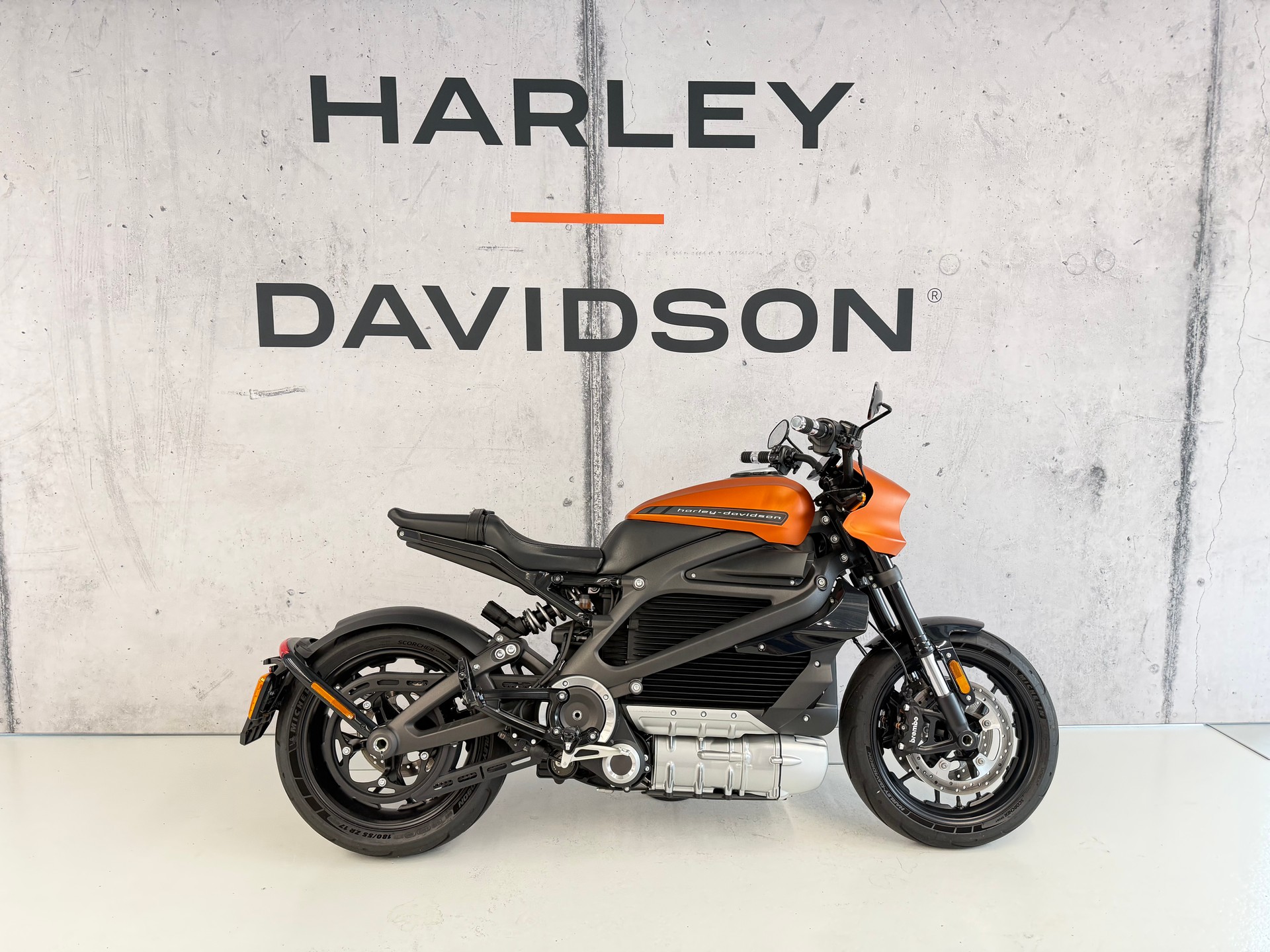 HARLEY-DAVIDSON Live Wire