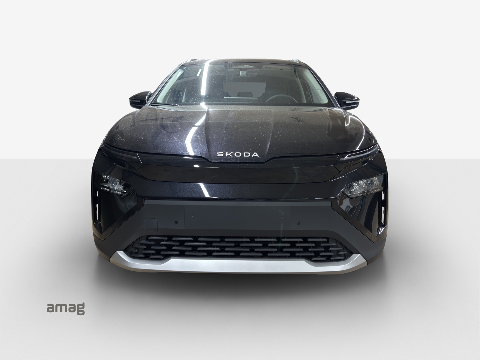 SKODA Elroq 85 Selection-image-6