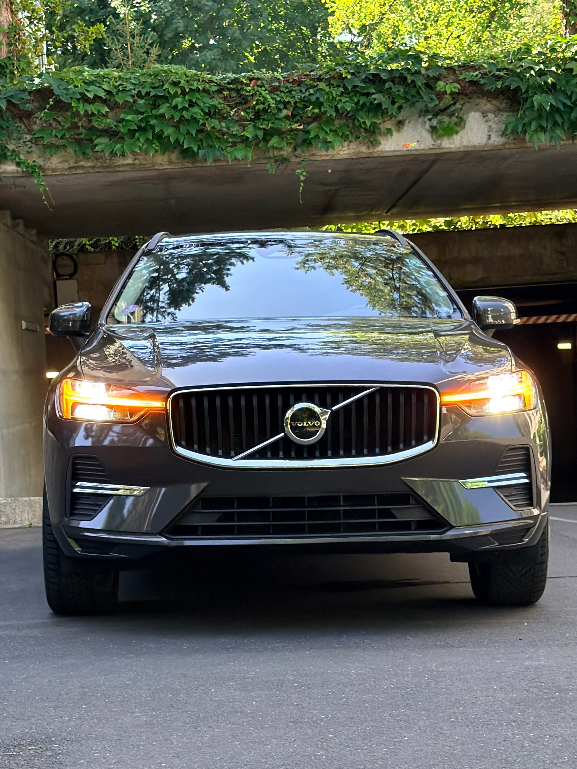 VOLVO XC60 B5 Benzin Mild Hybrid Momentum Geartronic-image-3