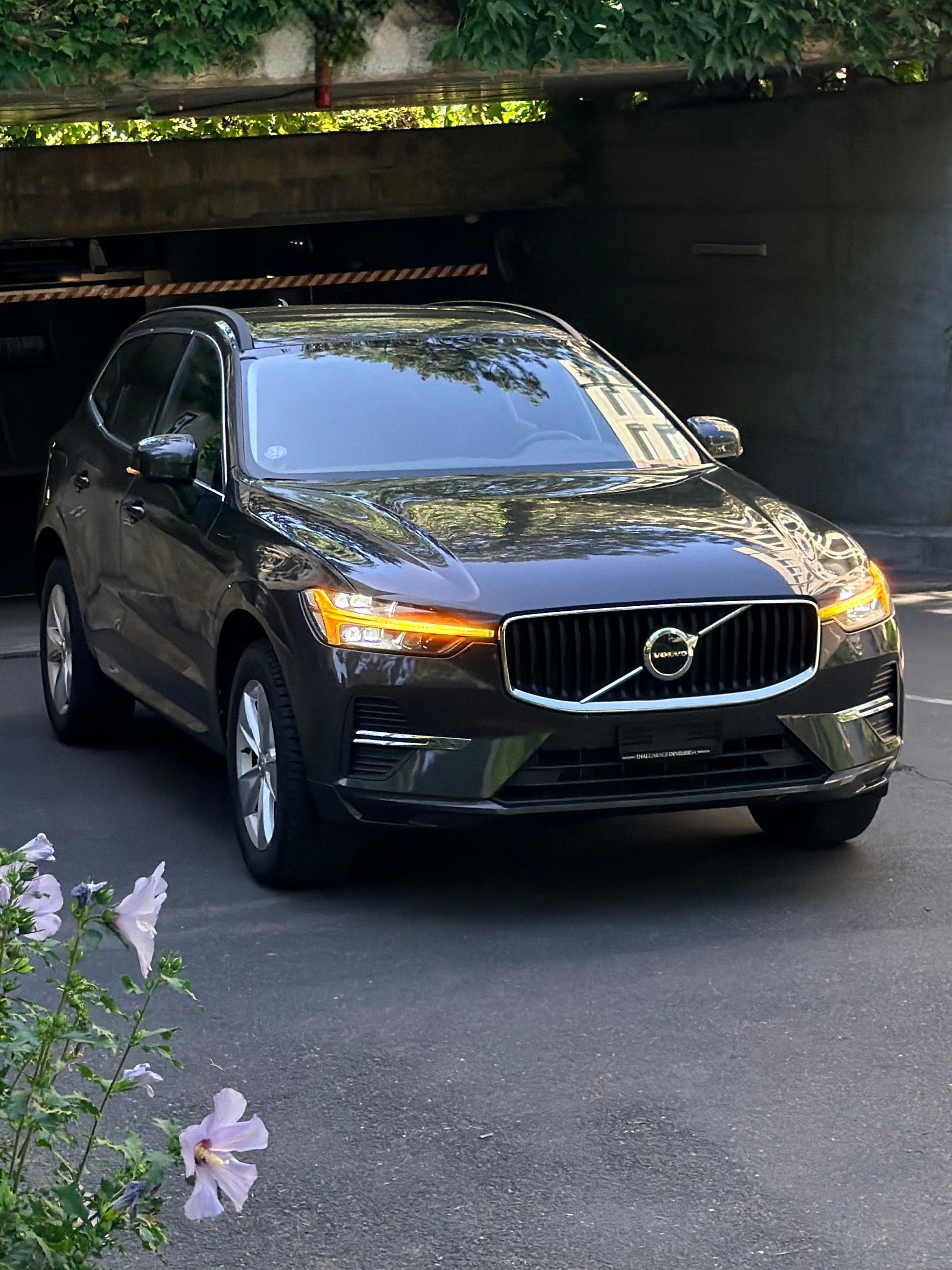 VOLVO XC60 B5 Benzin Mild Hybrid Momentum Geartronic-image-1