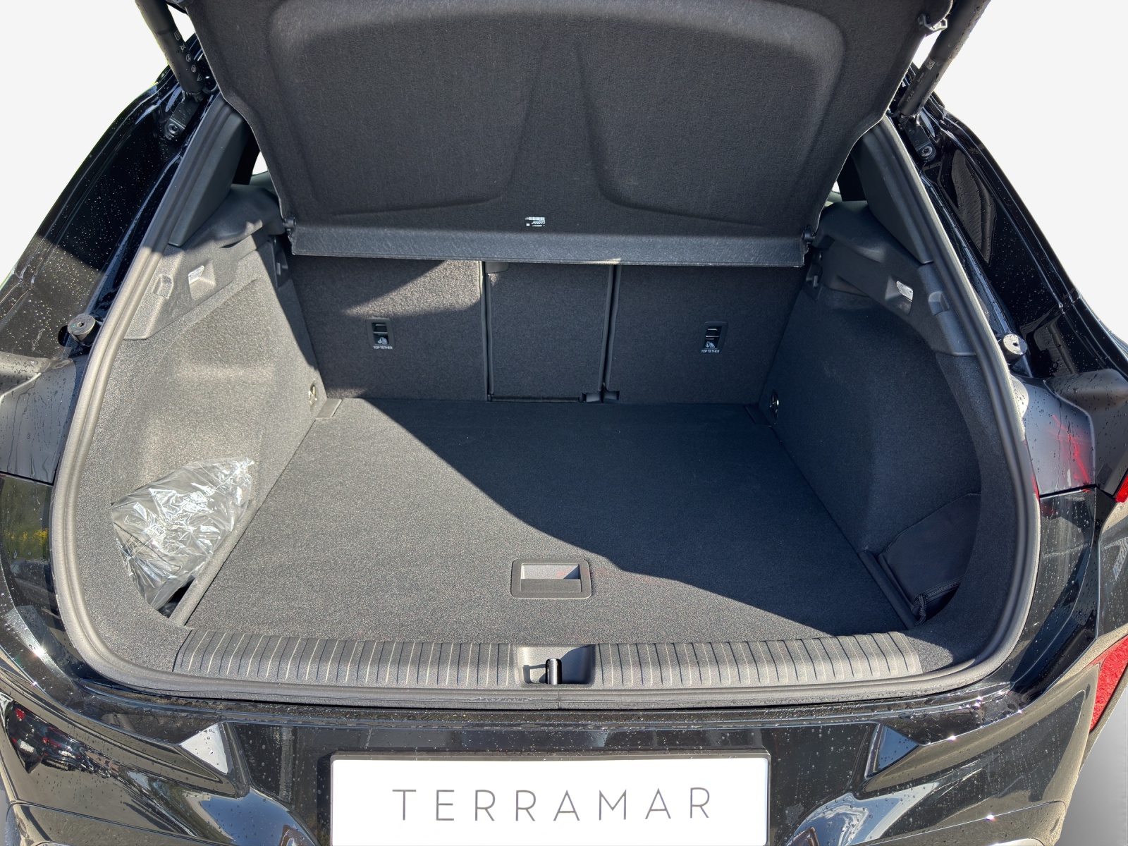 CUPRA Terramar 2.0 TSI Prime Edition DSG 4Drive-image-12