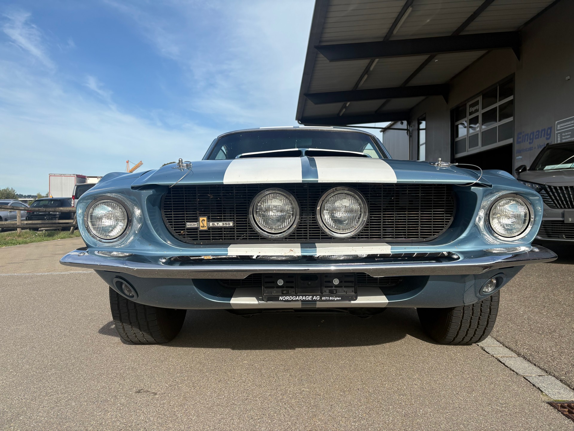 FORD Shelby GT350 Tribute-image-1