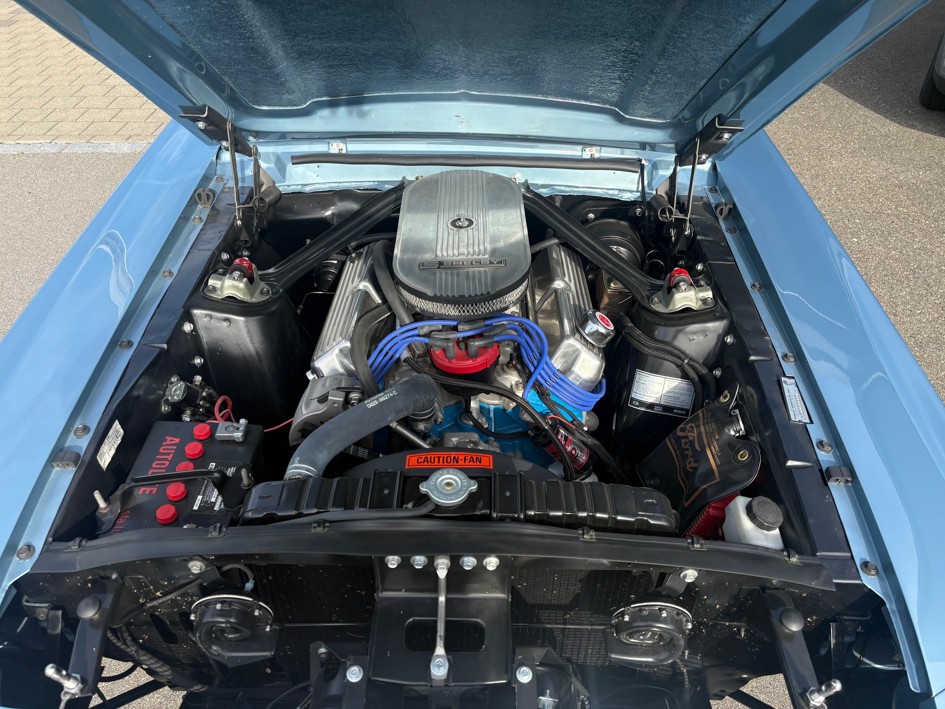 FORD Shelby GT350 Tribute-image-8