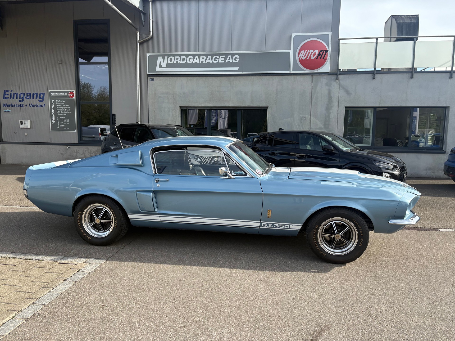 FORD Shelby GT350 Tribute-image-2
