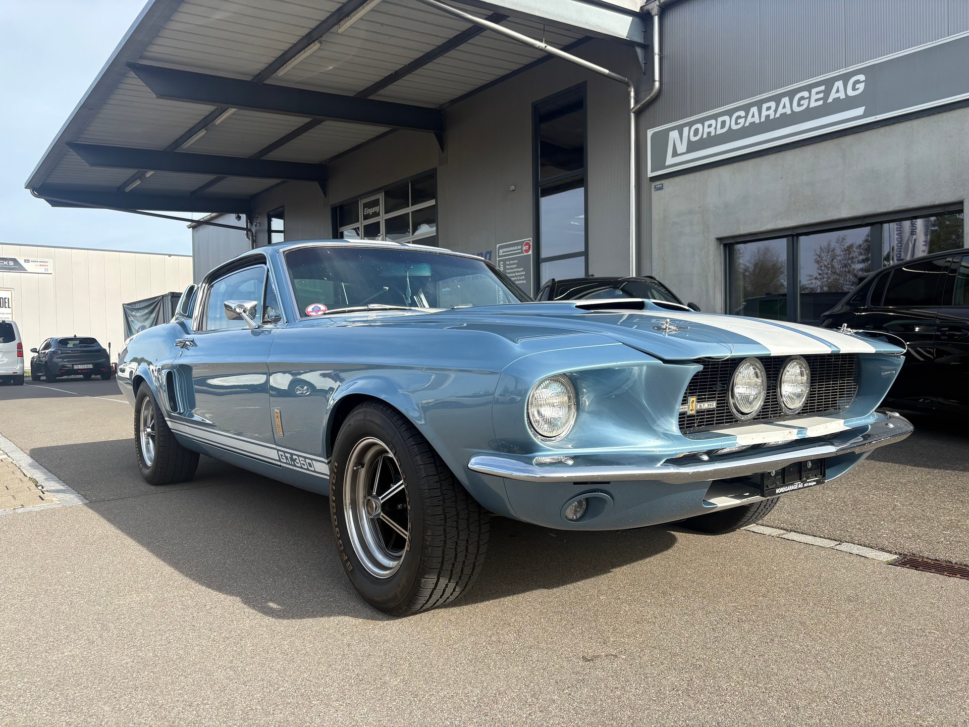 FORD Shelby GT350 Tribute-image-0