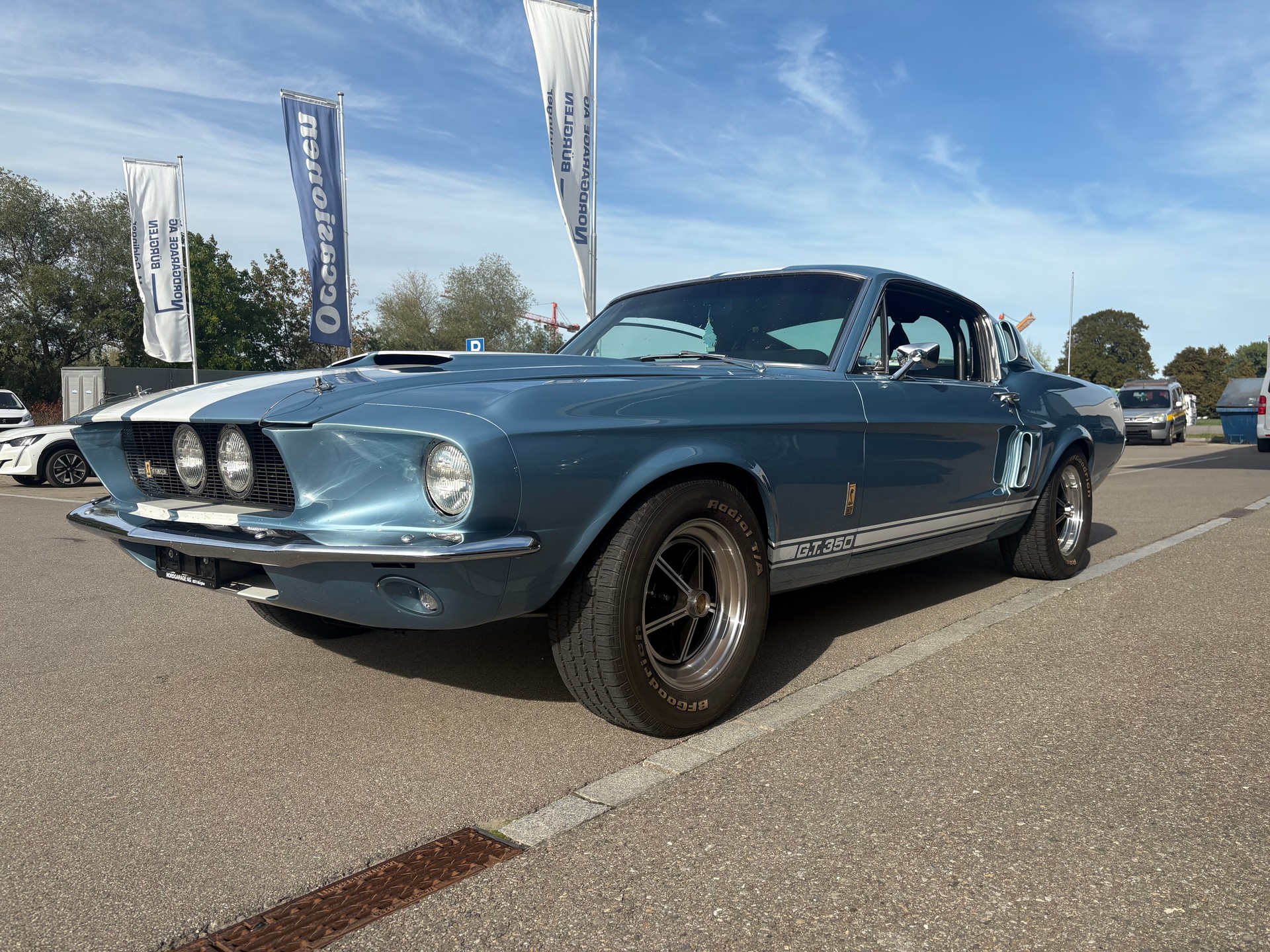 FORD Shelby GT350 Tribute-image-3