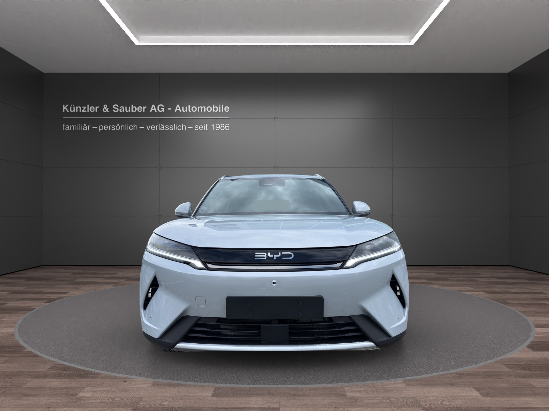 BYD Atto 2 DM-i Boost-image-3