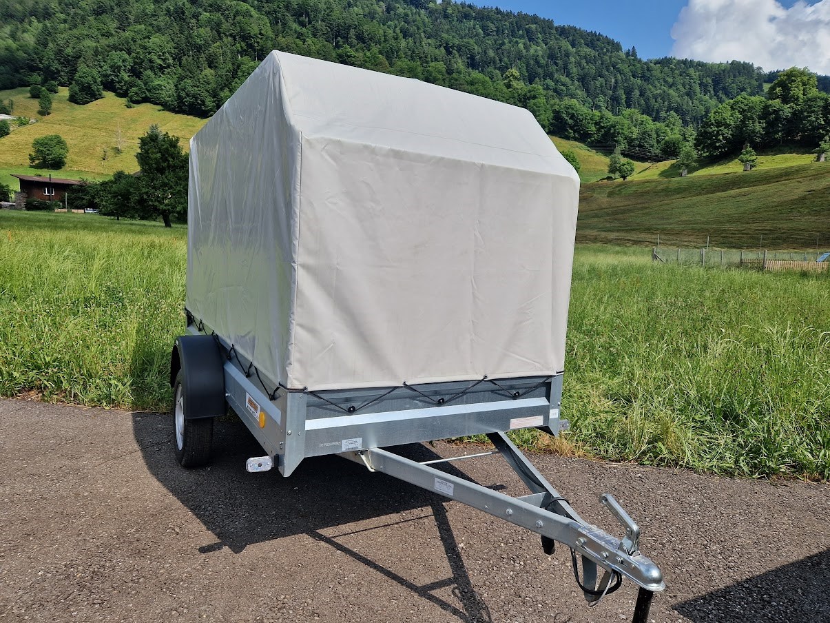 NEPTUN GN104 750kg L2630xB1250-image-0