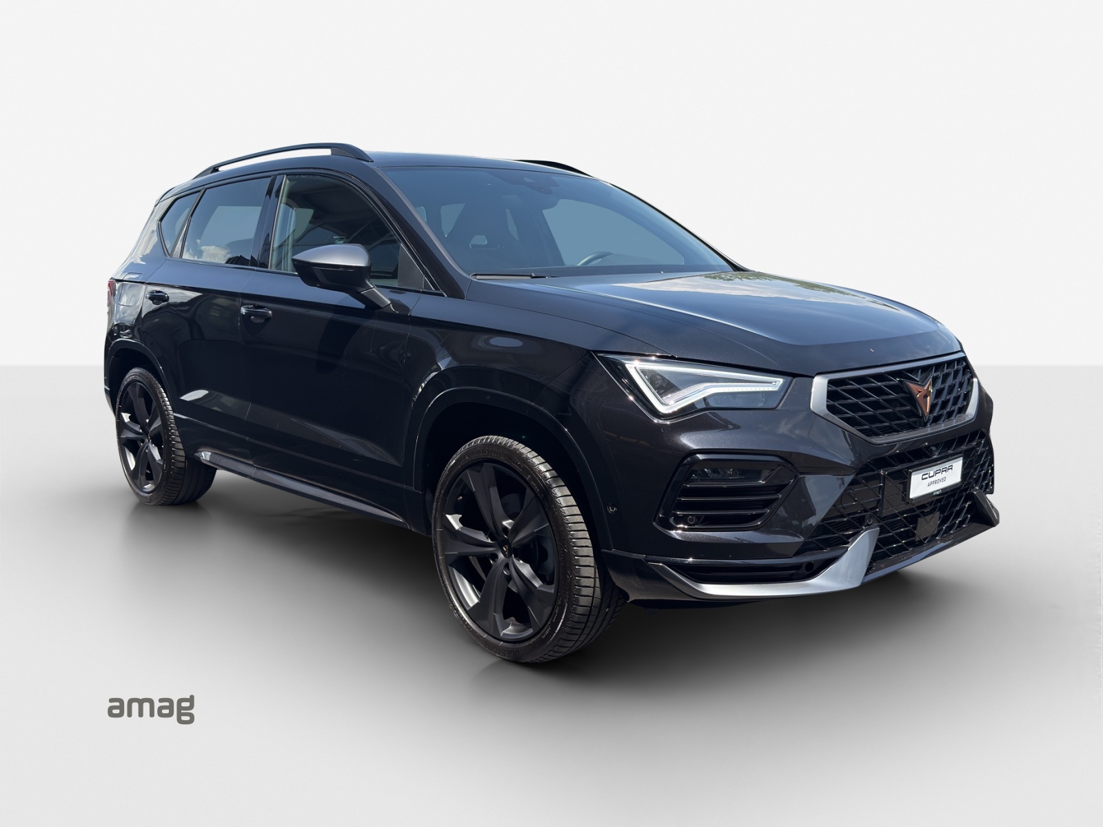 CUPRA Ateca 2.0TSI 4Drive DSG-image-5