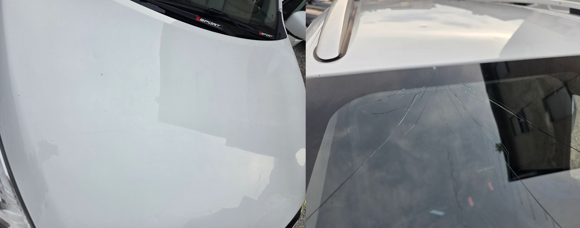RENAULT Clio Grandtour 1.2 16V T Intens EDC-image-8