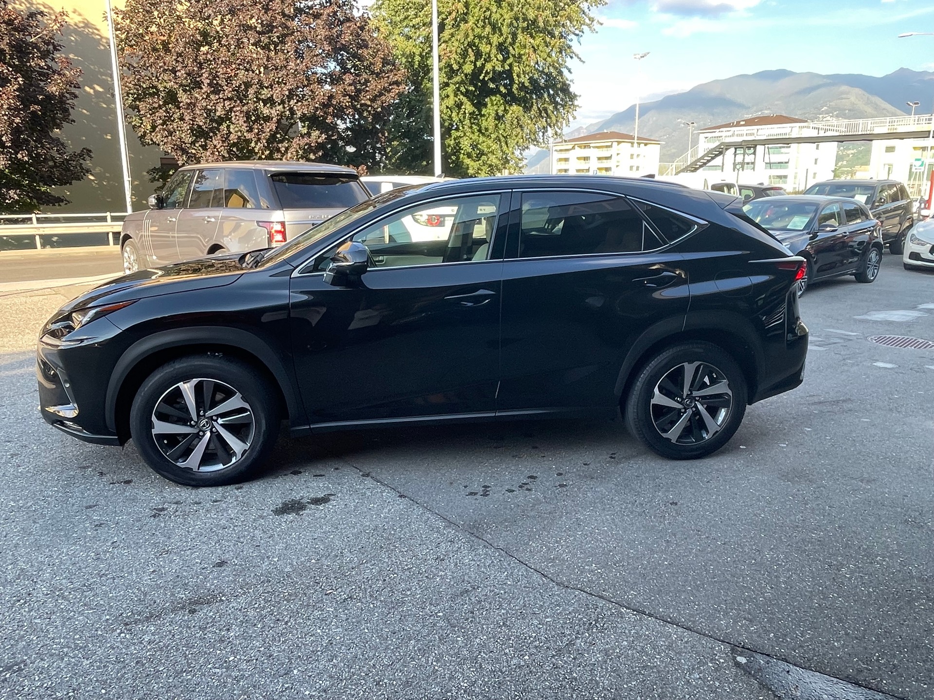 LEXUS NX 300h Excellence E-Four Automatic-image-2