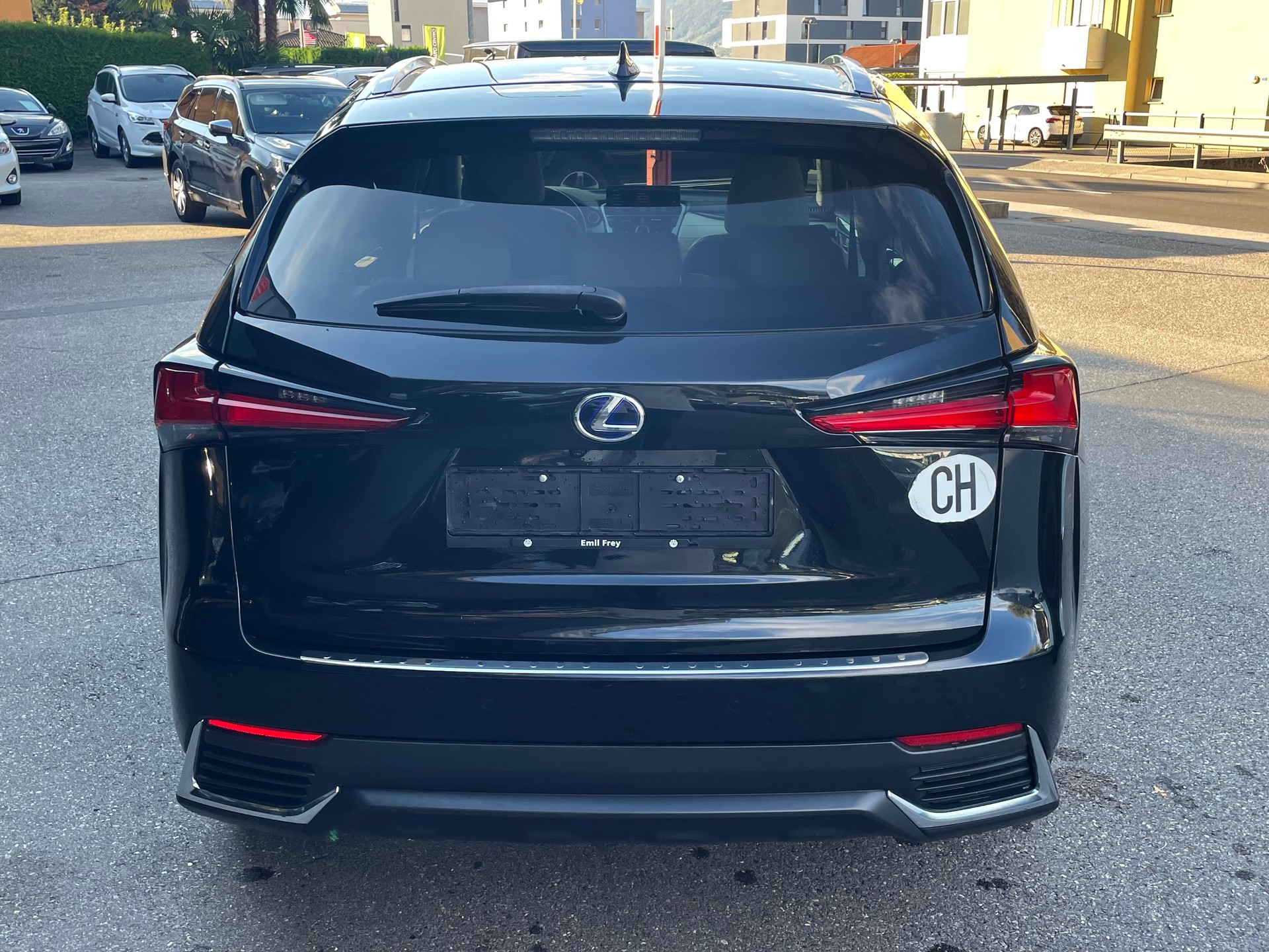 LEXUS NX 300h Excellence E-Four Automatic-image-9