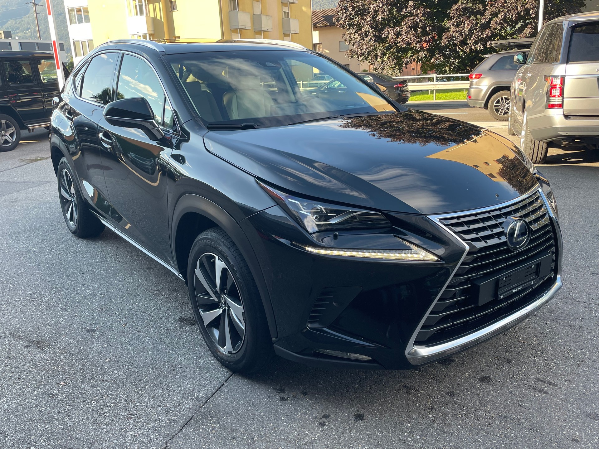 LEXUS NX 300h Excellence E-Four Automatic-image-14