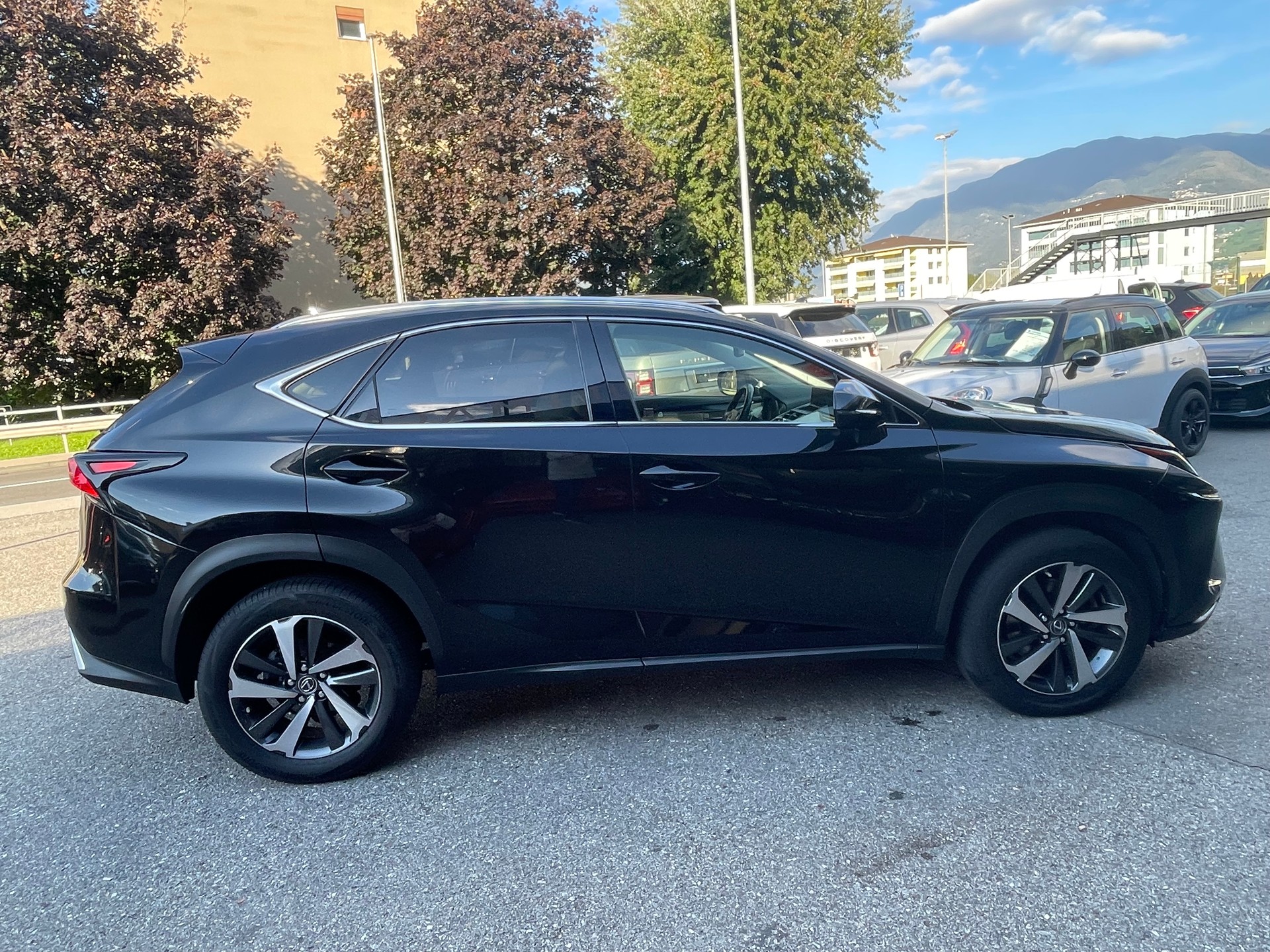 LEXUS NX 300h Excellence E-Four Automatic-image-11
