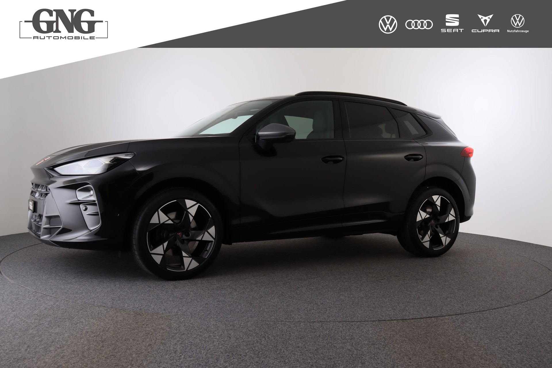 CUPRA Terramar 2.0 TSI DSG 4Drive VZ-image-5