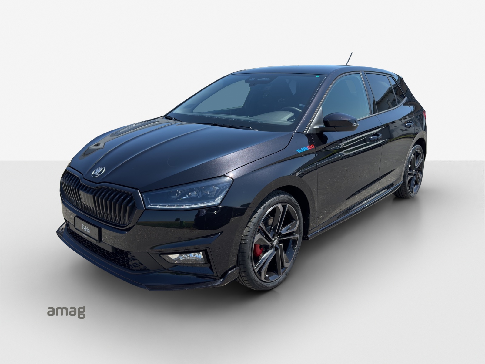 SKODA Fabia 130-image-15