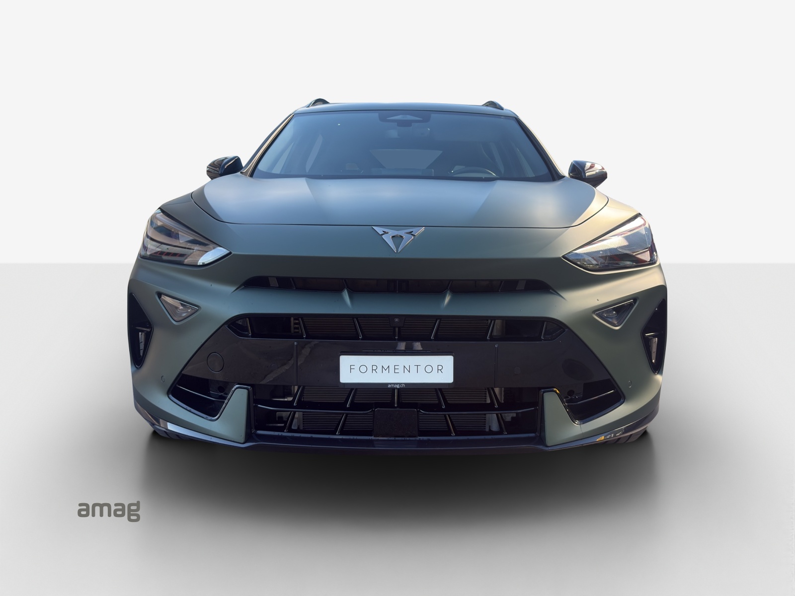 CUPRA Formentor 2.0TSI VZ 4Drive DSG-image-6