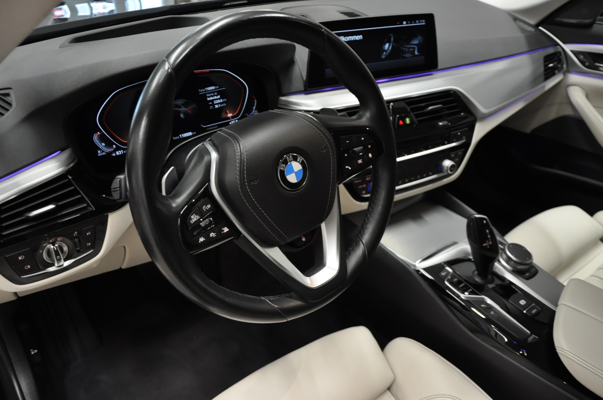 BMW 530d xDrive Sport Line Steptronic-image-11