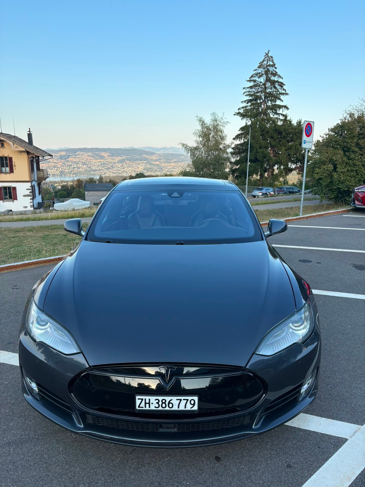 TESLA P90DL ( Ludicrous) Free Supercharge, Bremse, Fahrwerk Heckmotor neu-image-2