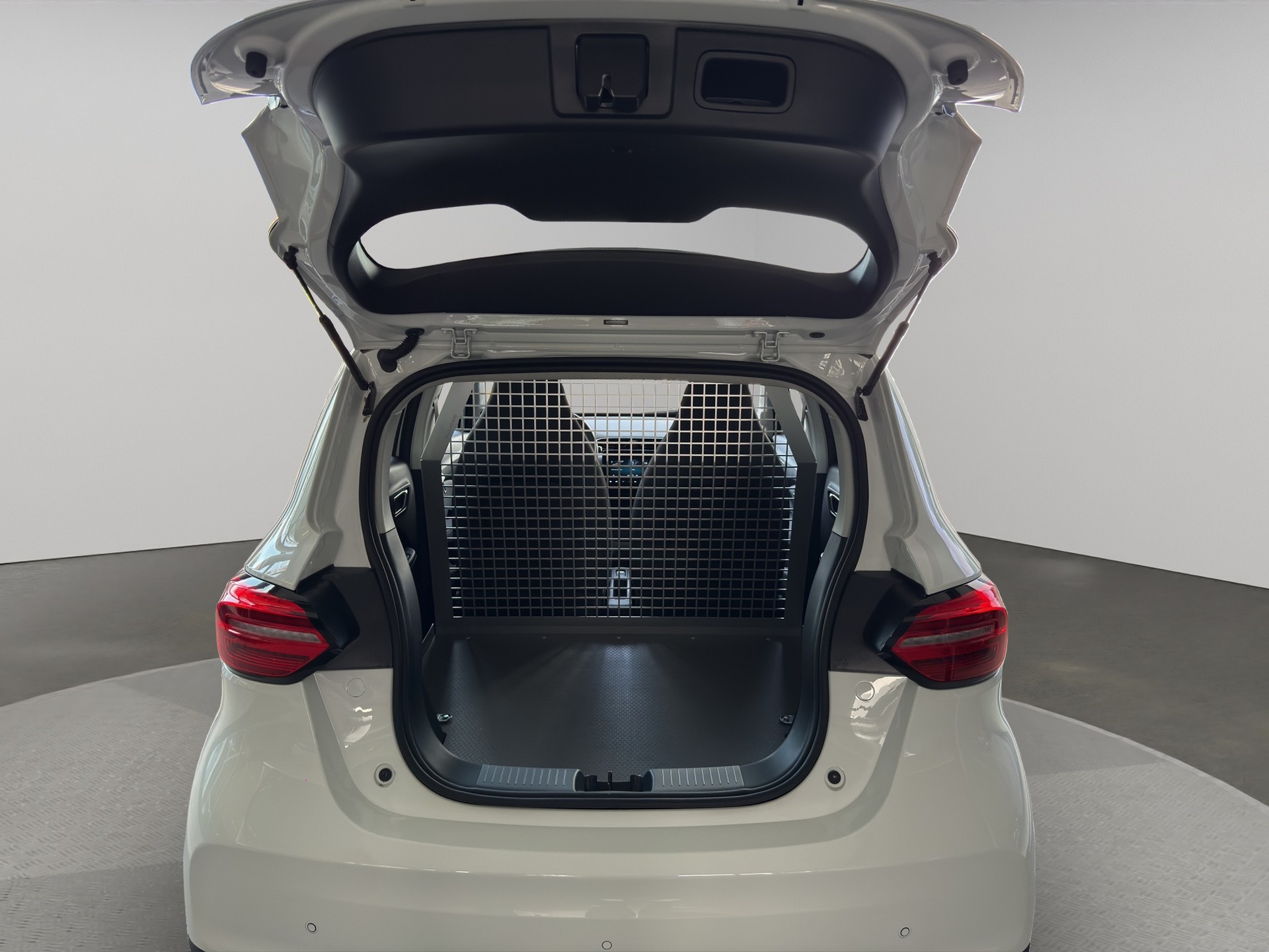 LEAPMOTOR T03 Cargo-image-11