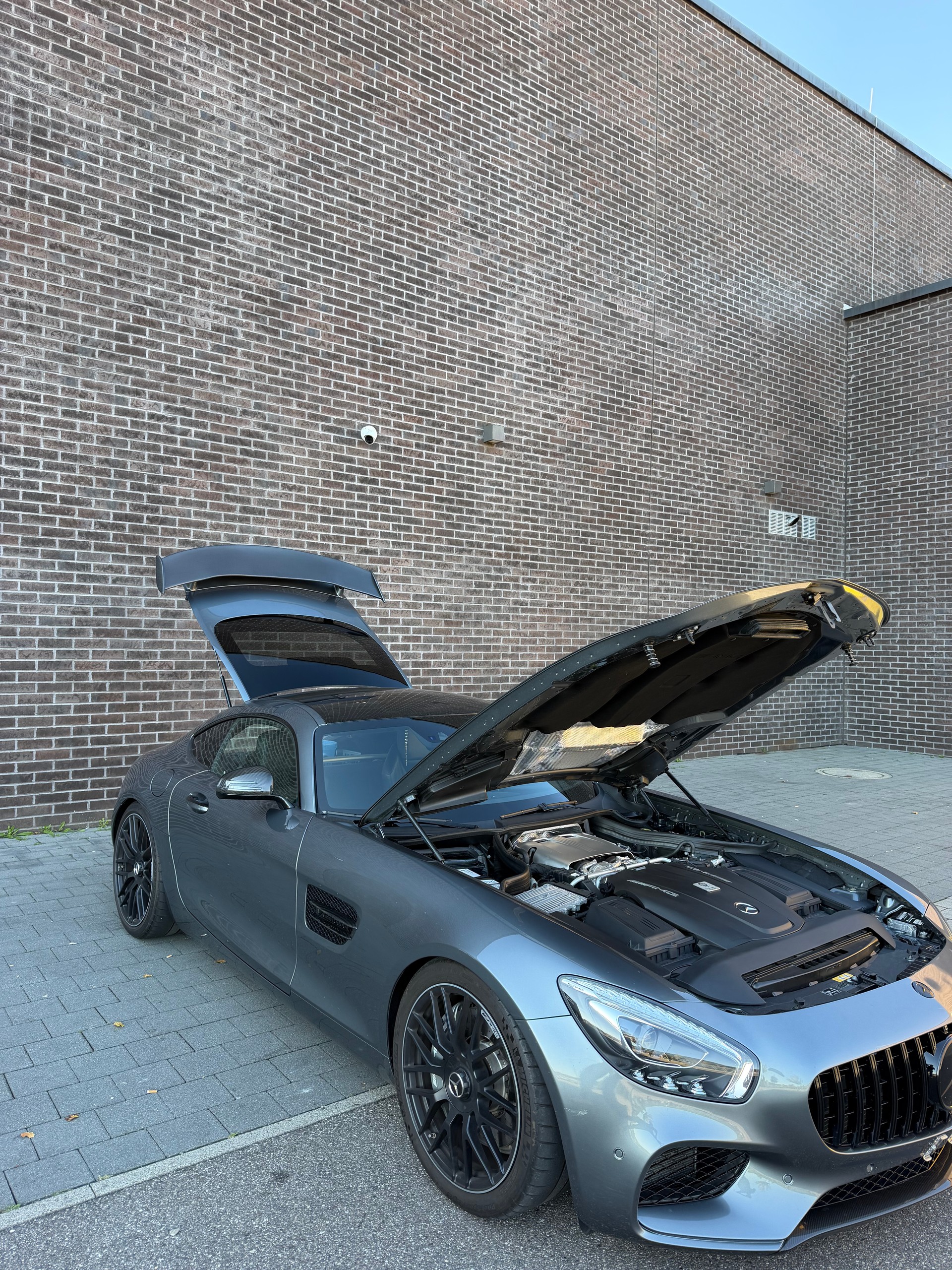 MERCEDES-BENZ AMG GT-image-8