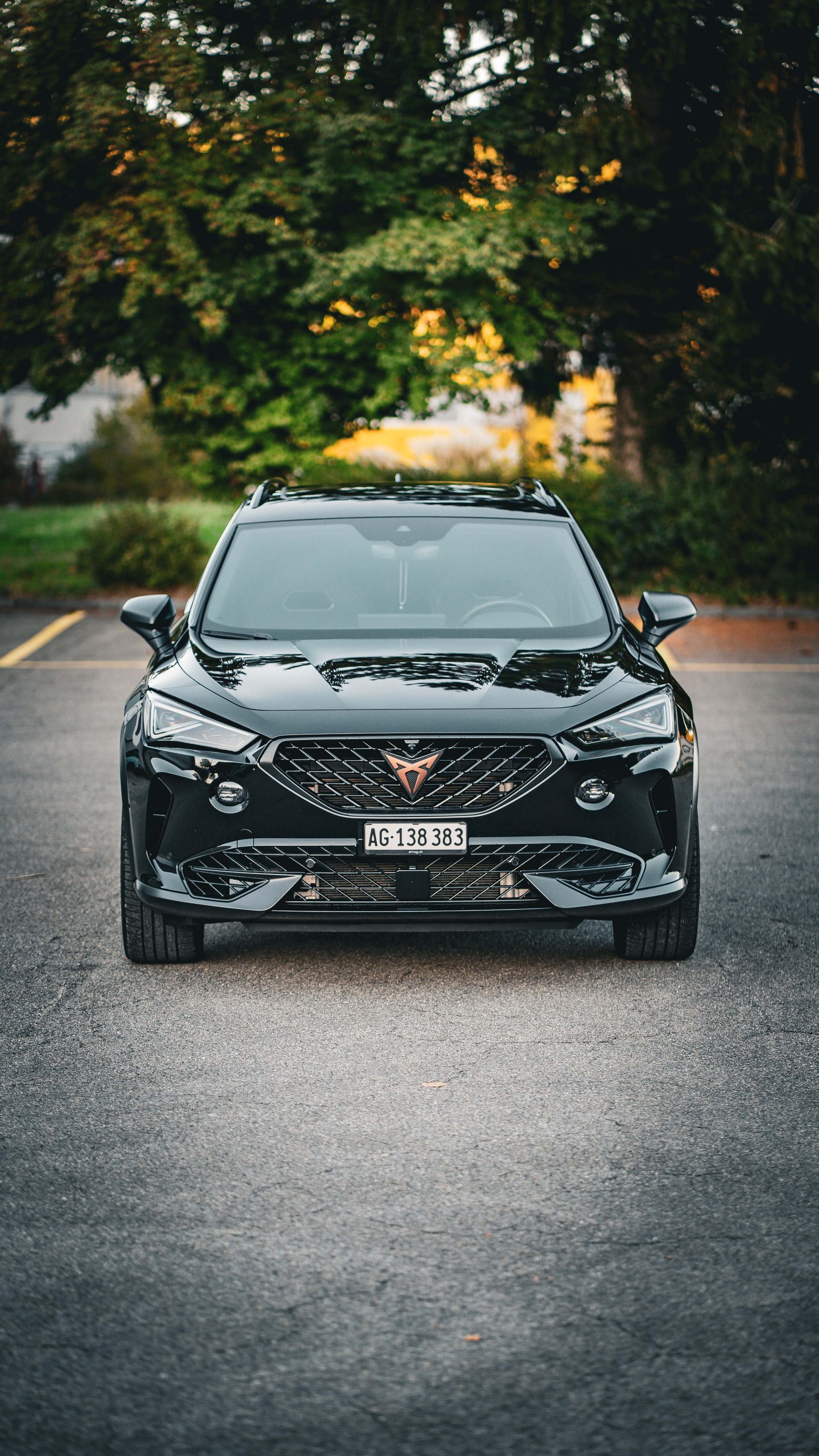 CUPRA 2.0 TSI VZ Tribe Edition 4Drive DSG-image-1