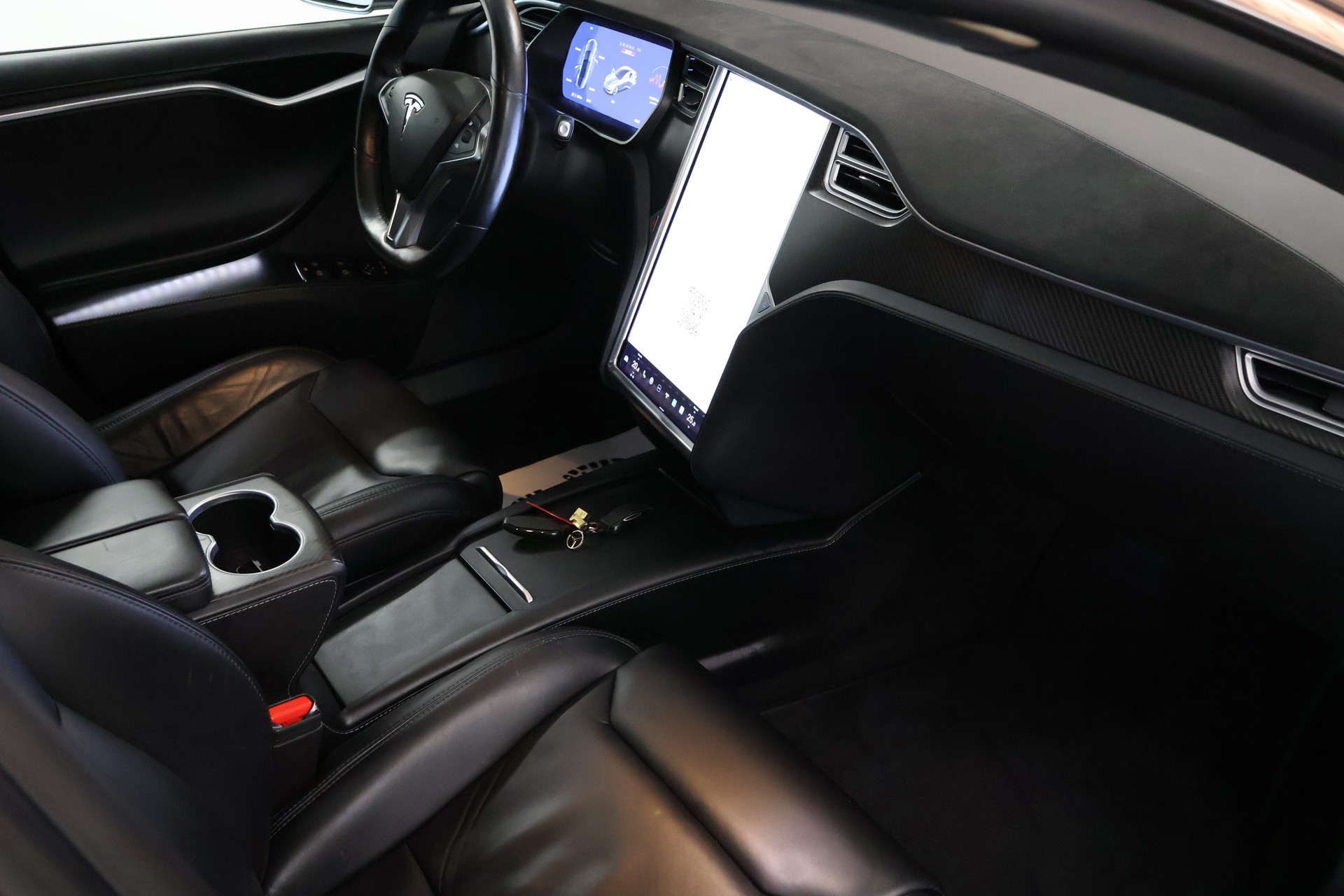 TESLA Model S 100 D Performance-image-13