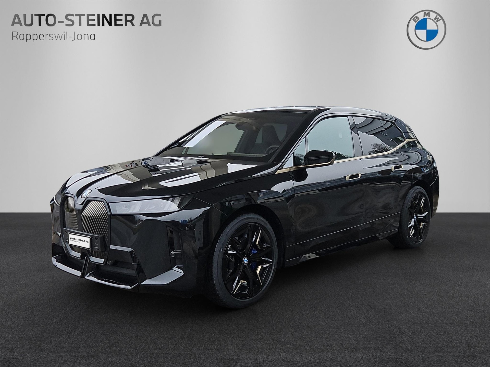 BMW iX xDrive45 M Sport-image-0