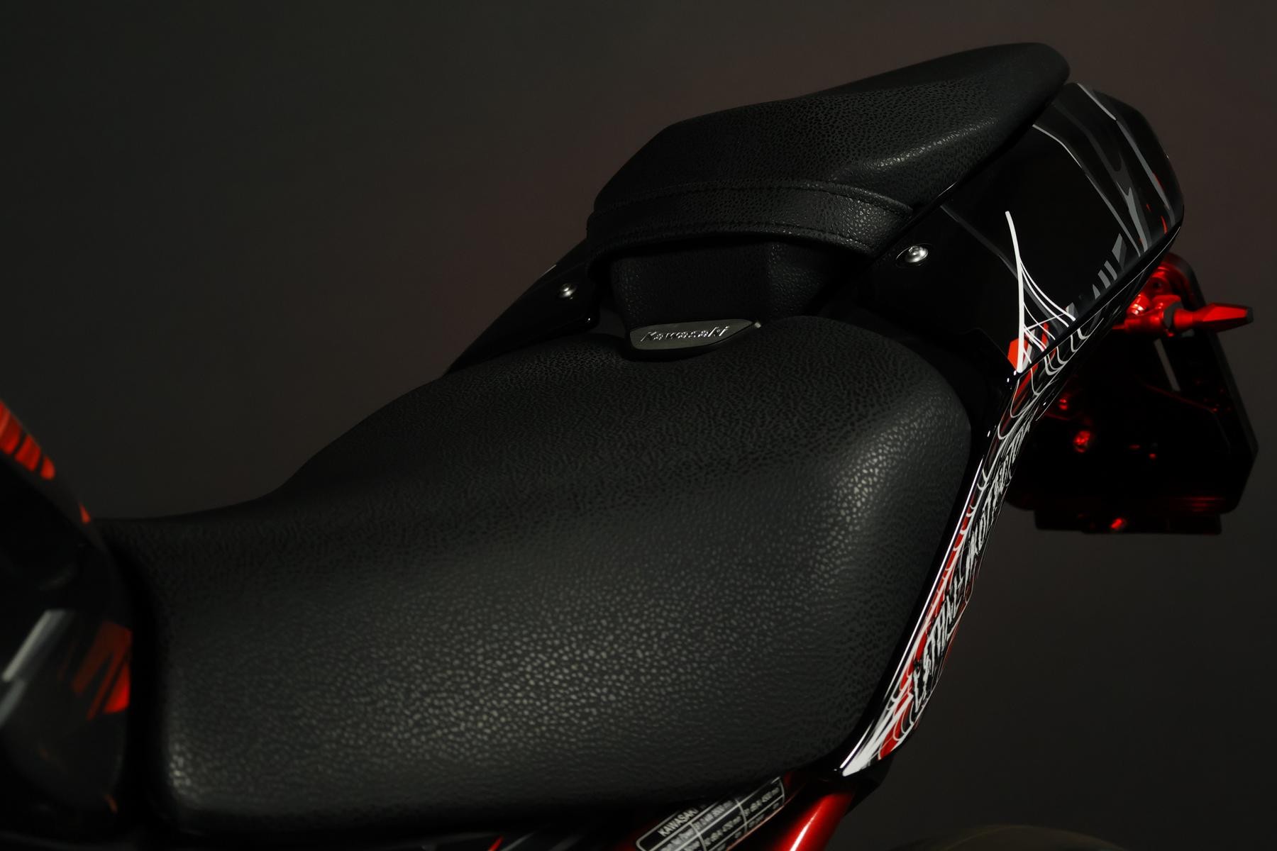 KAWASAKI KAWASAKI Z 900 (91 KW) *Venom* Level 3-image-10